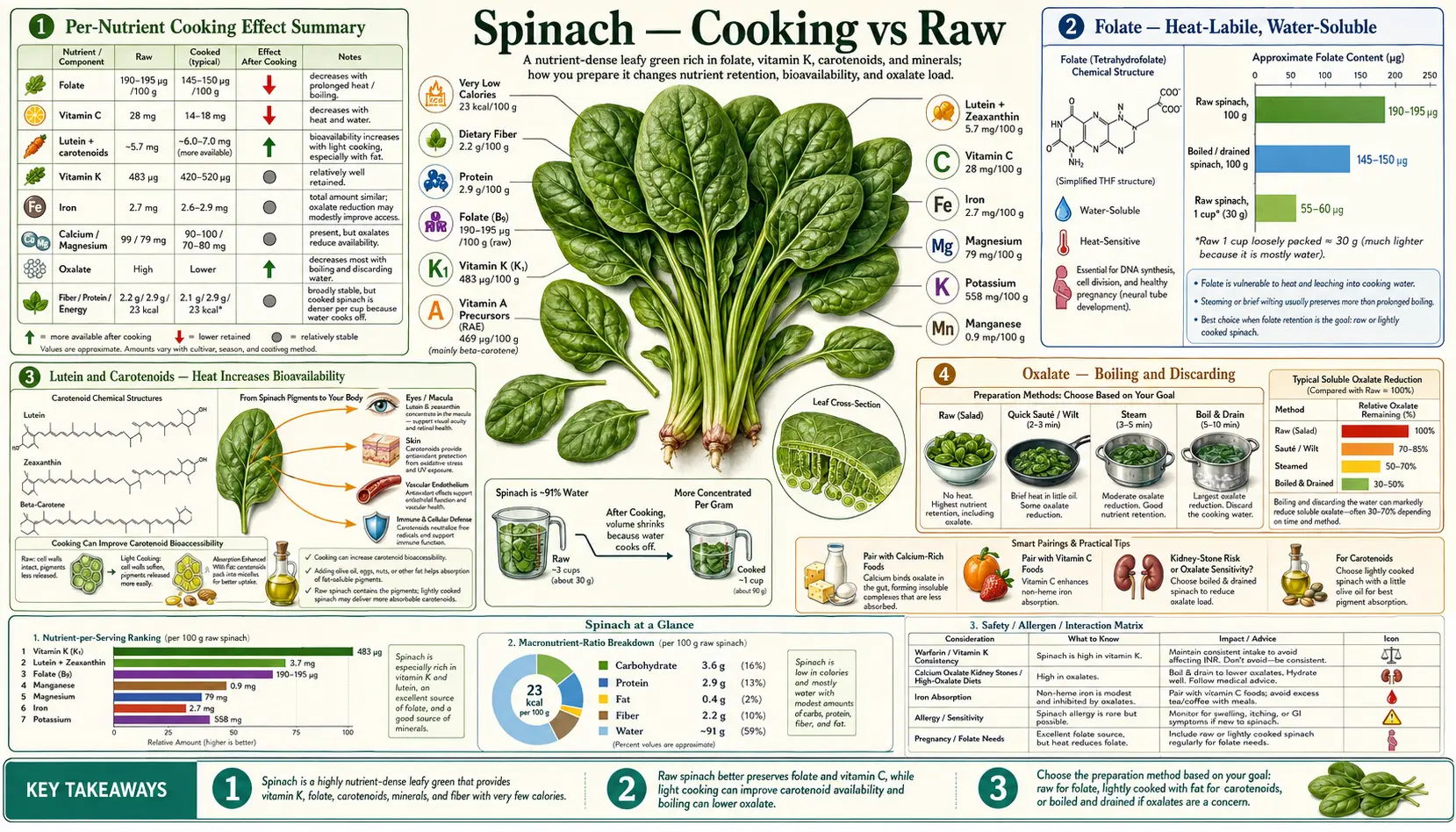 Cooking vs Raw — scientific infographic poster