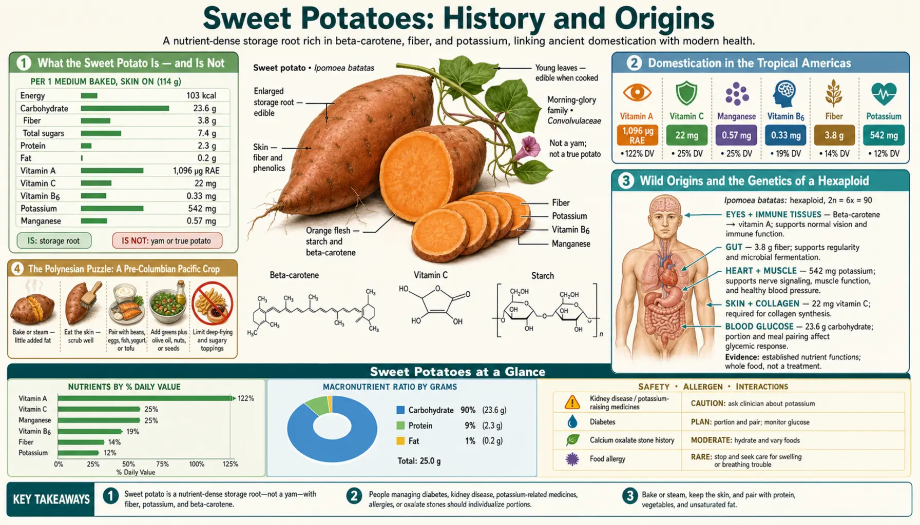 History — scientific infographic poster