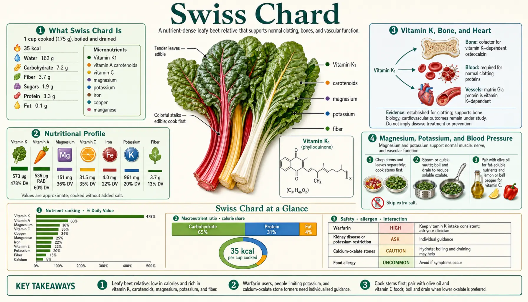 Swiss Chard — scientific infographic poster