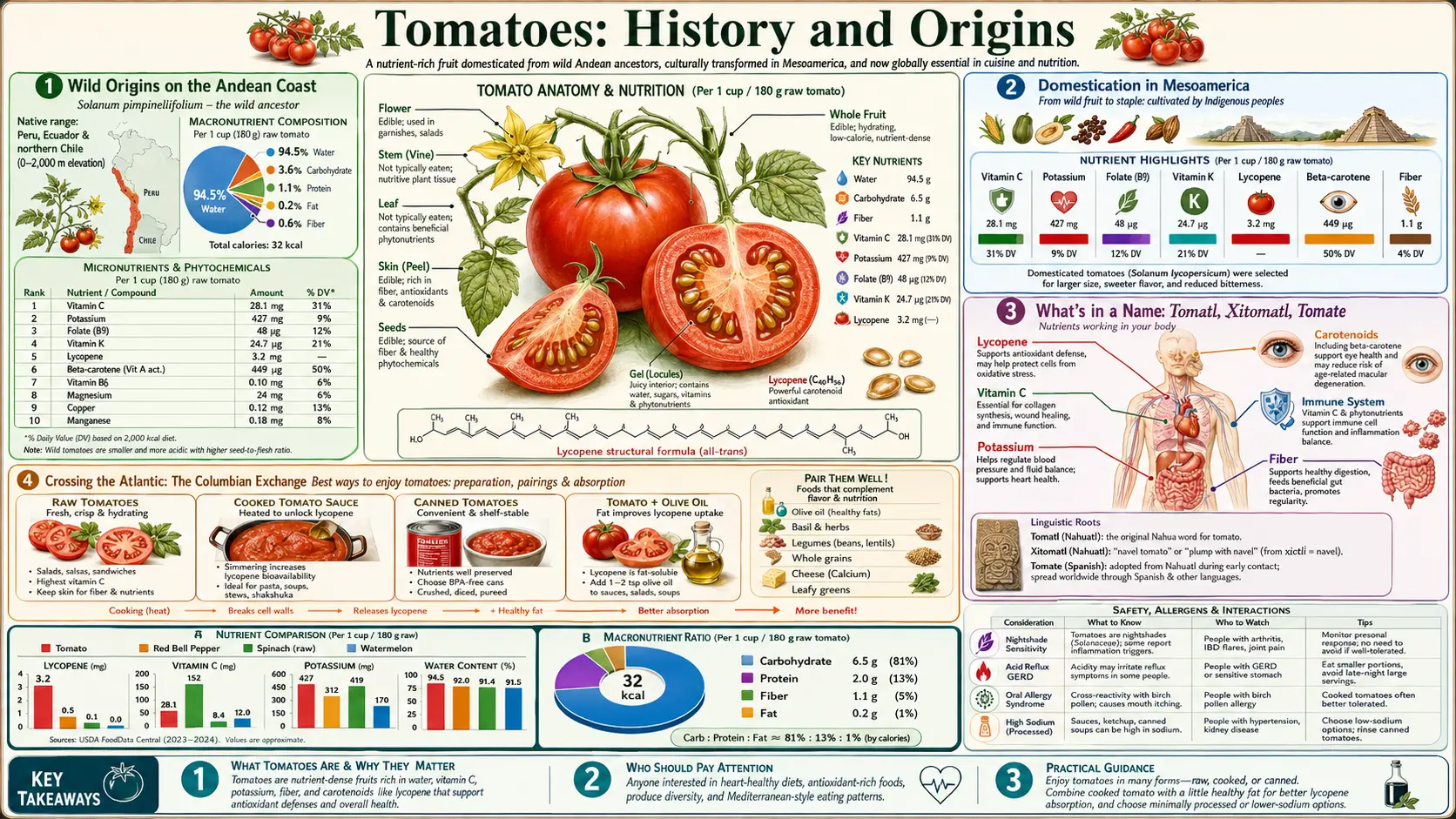 History — scientific infographic poster