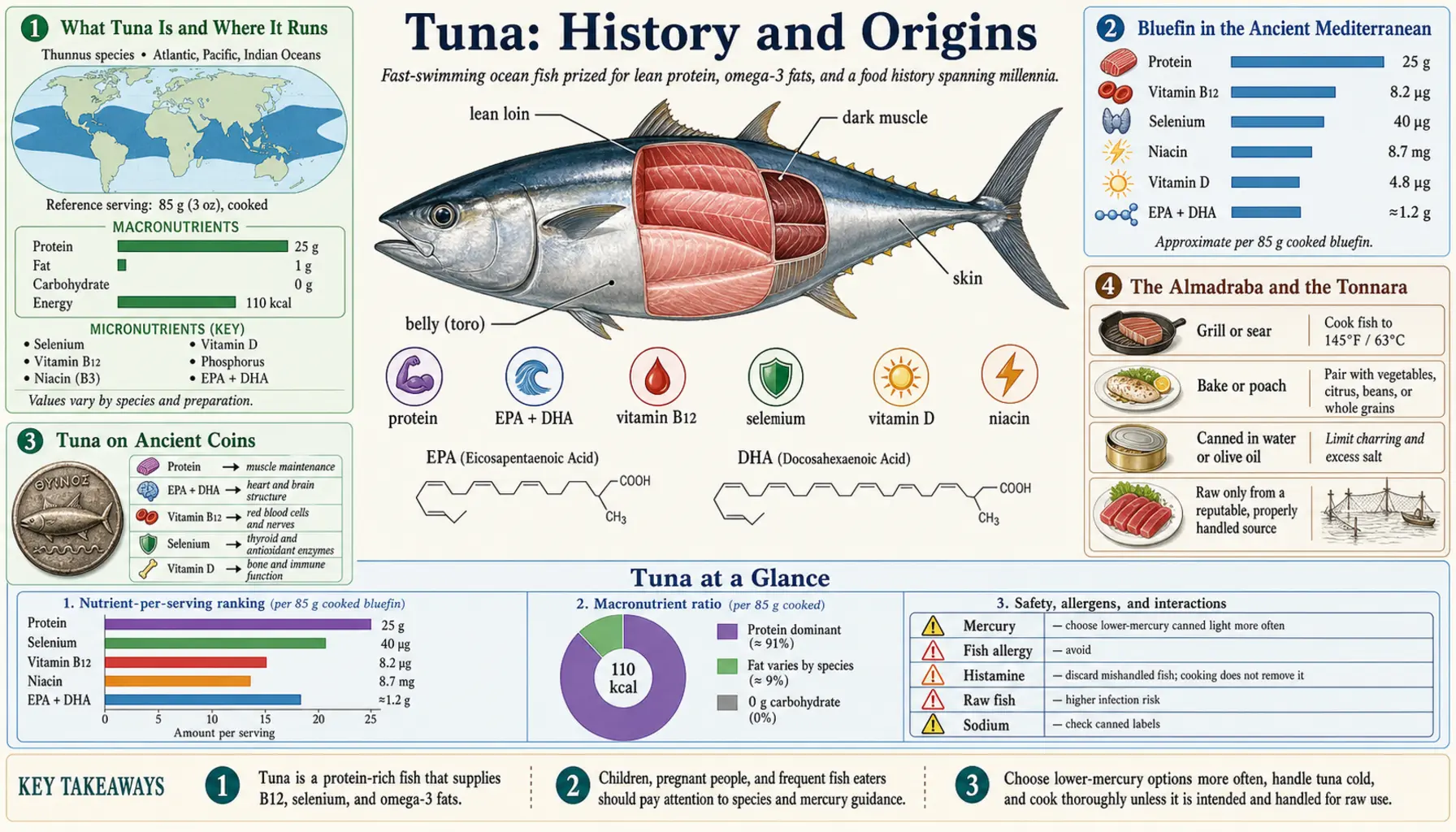History — scientific infographic poster