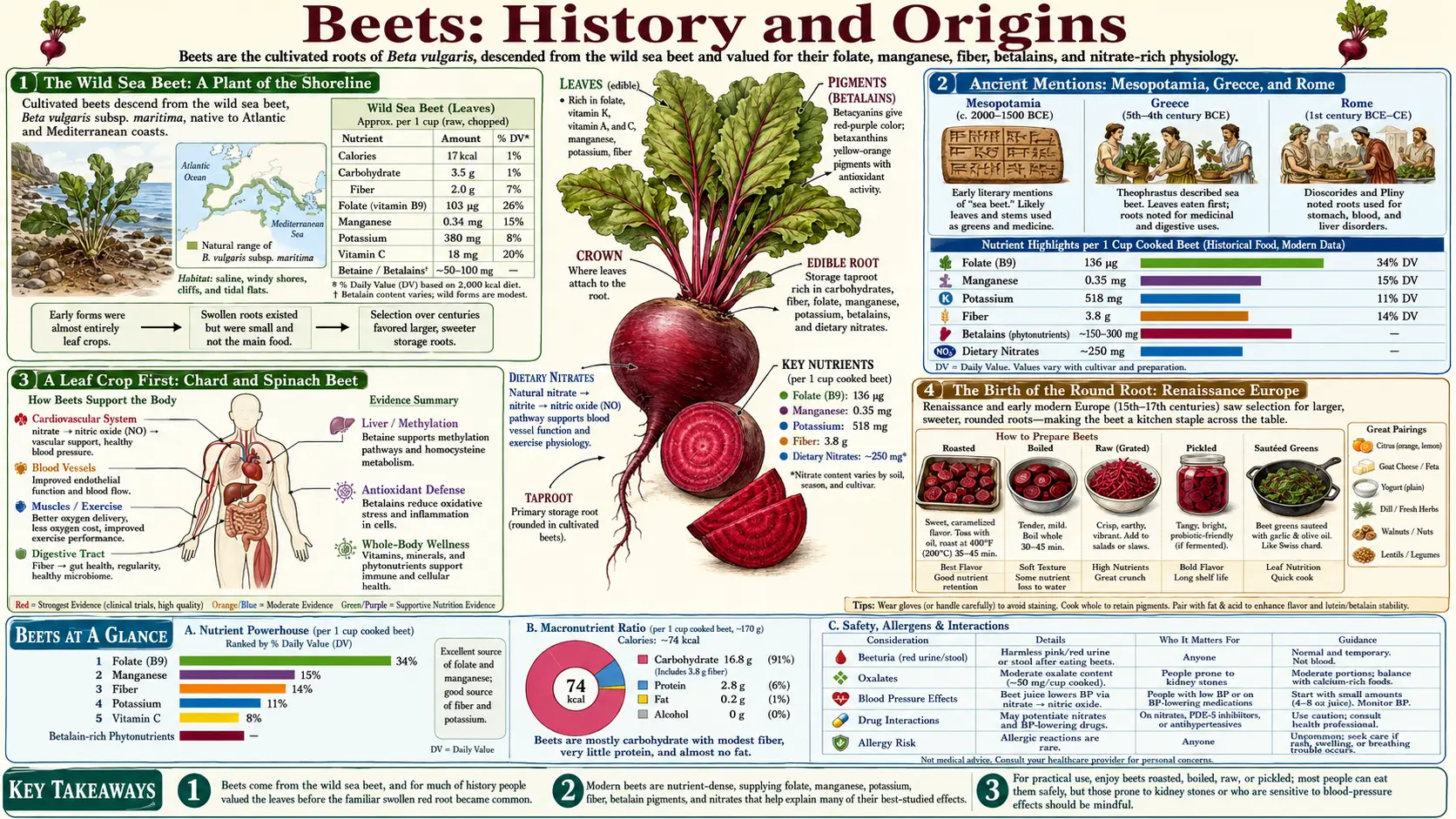 History — scientific infographic poster