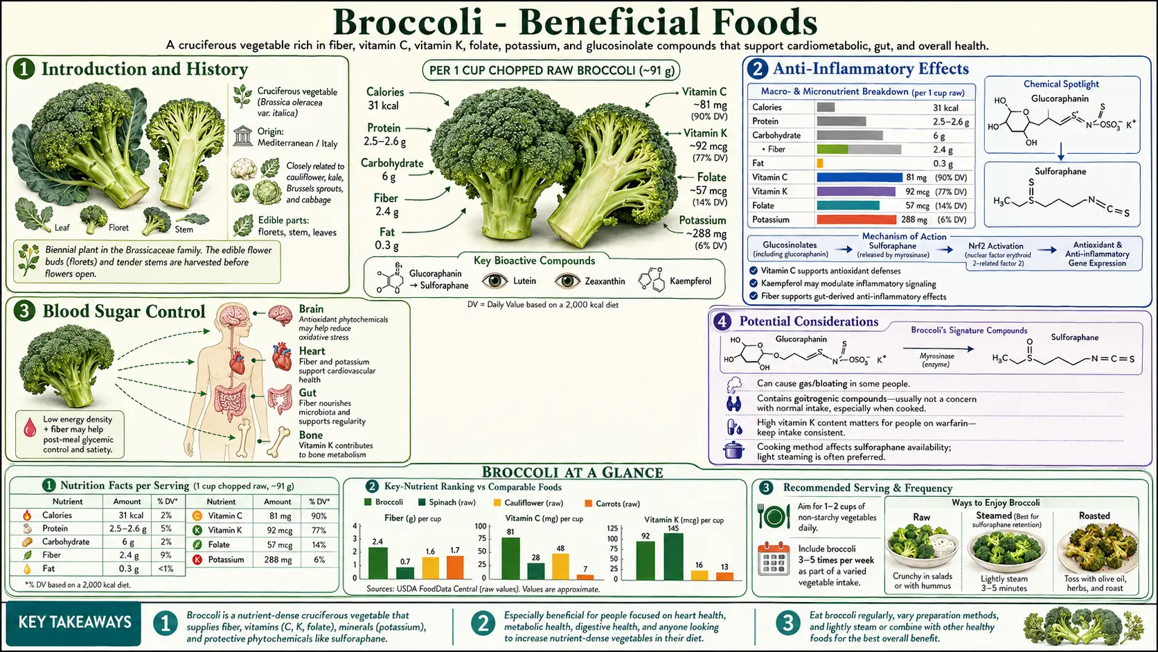Broccoli — scientific infographic poster