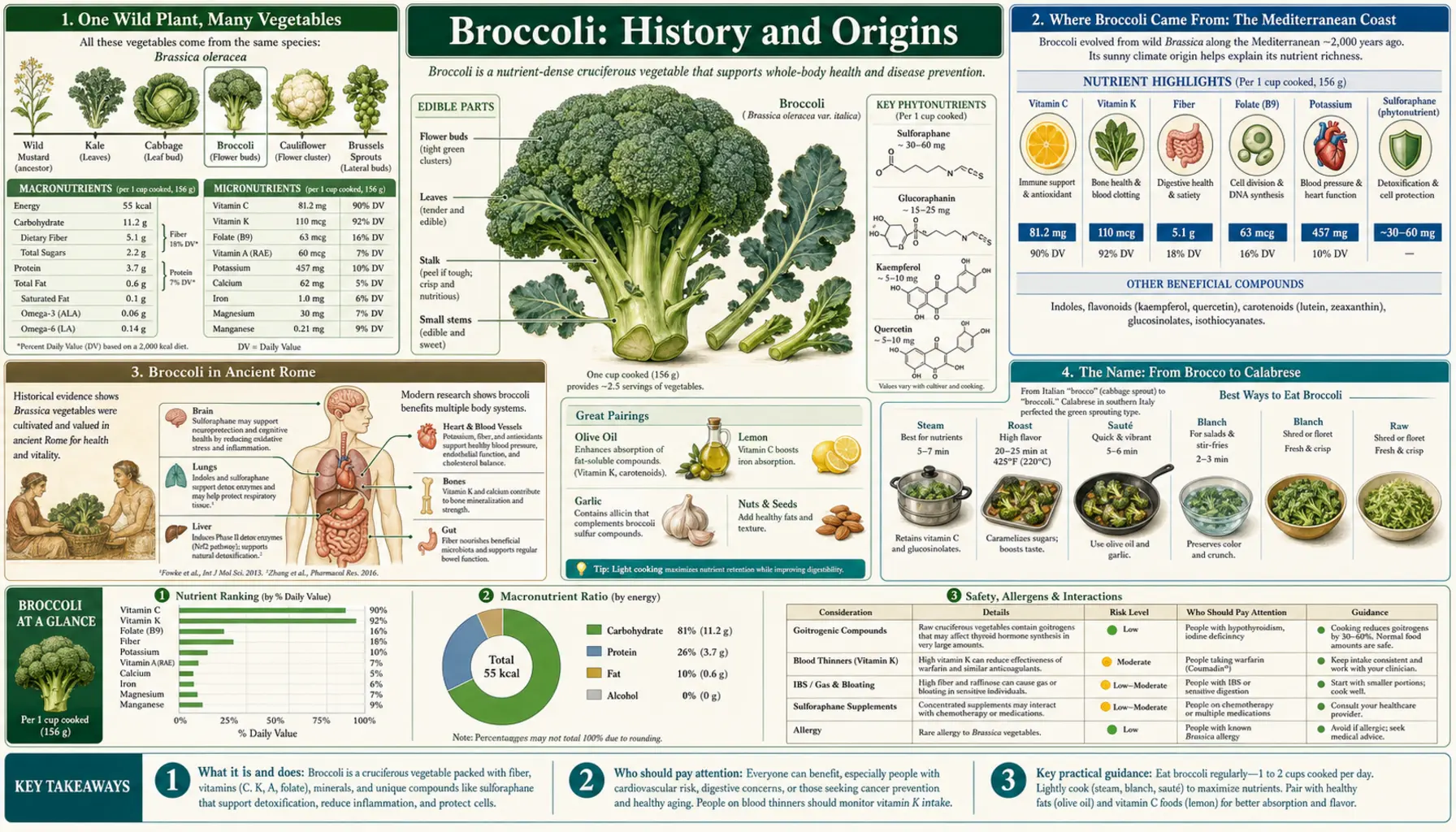 History — scientific infographic poster