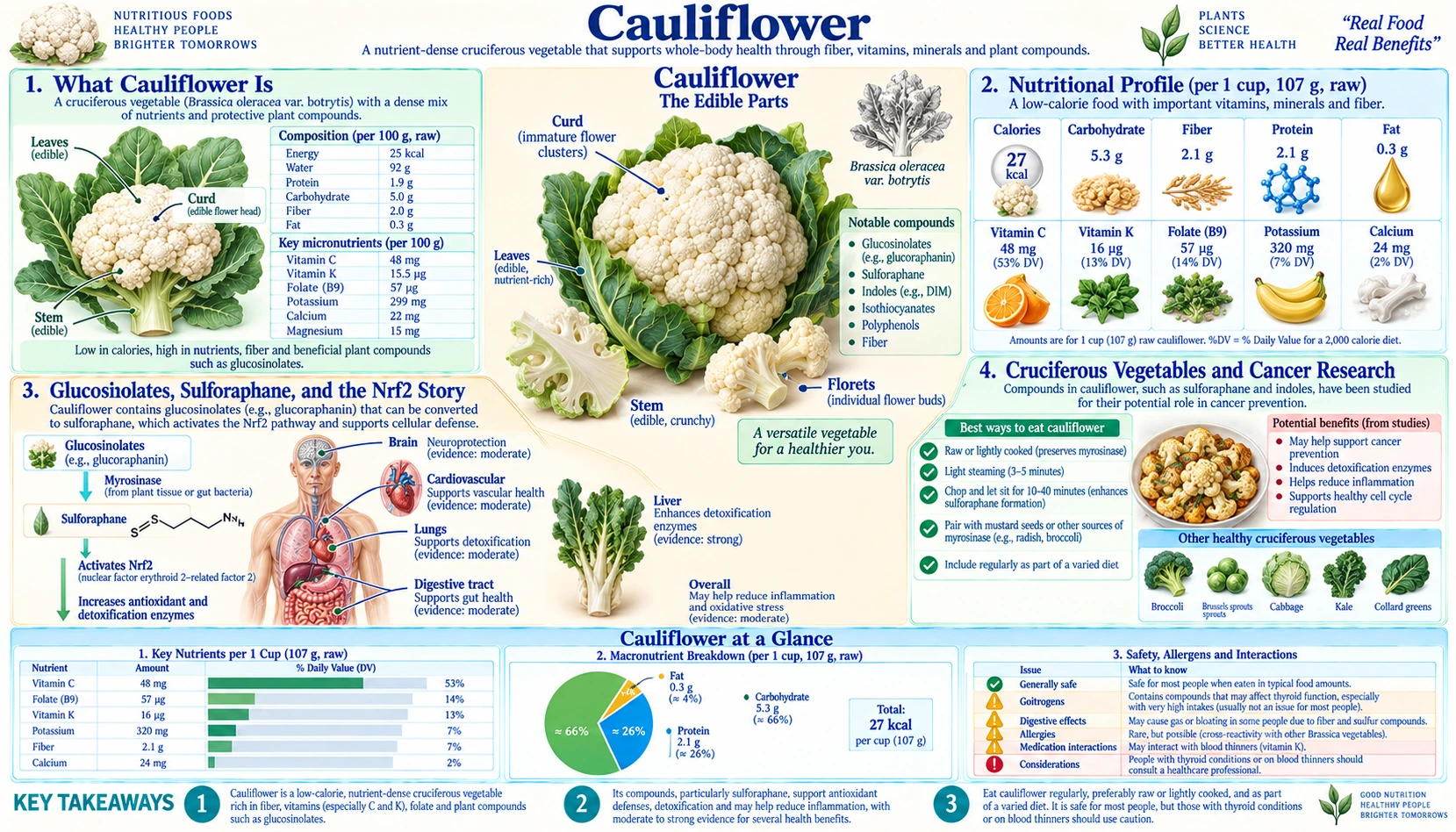 Cauliflower — scientific infographic poster