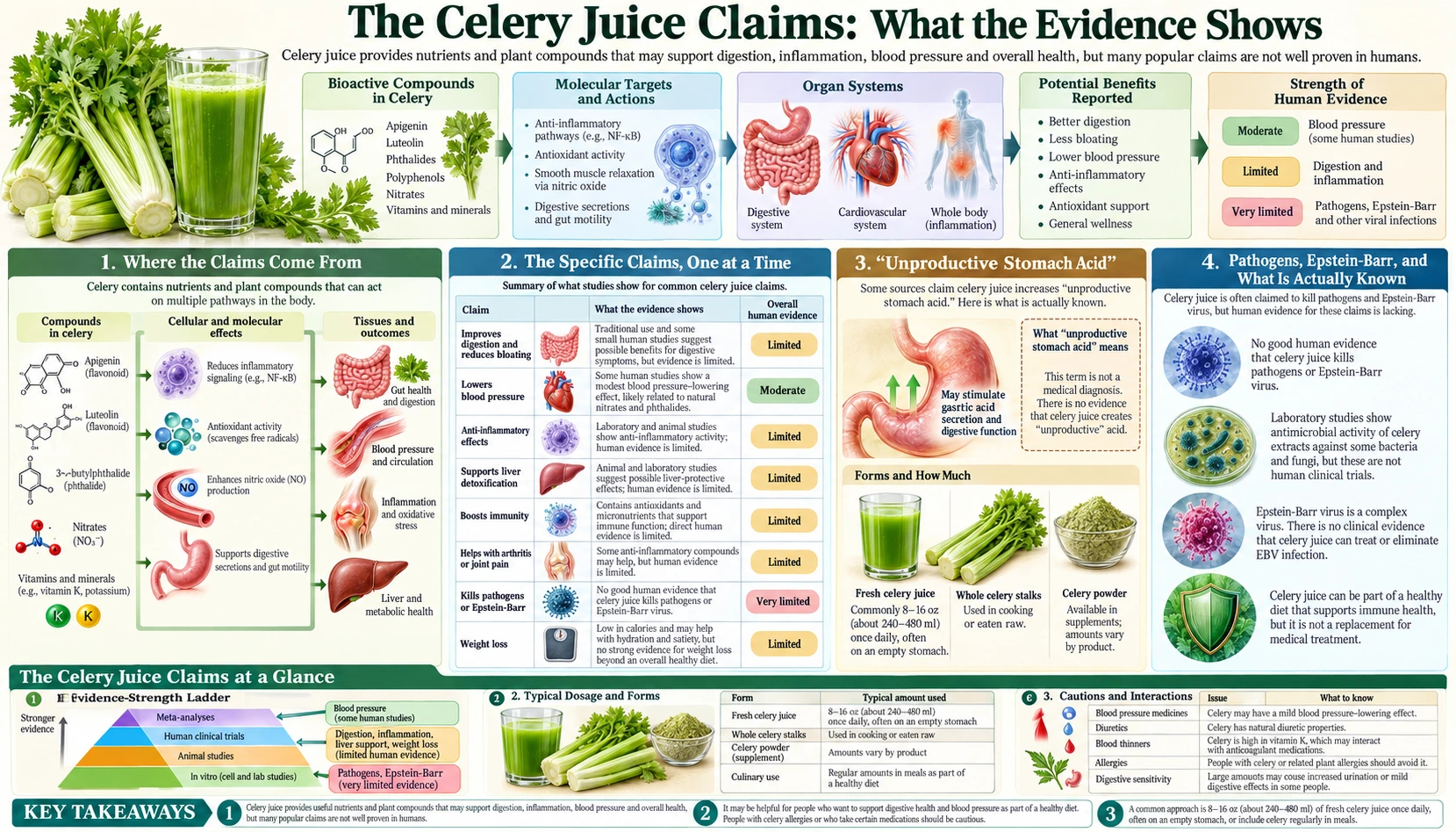 The Celery Juice Claims — scientific infographic poster