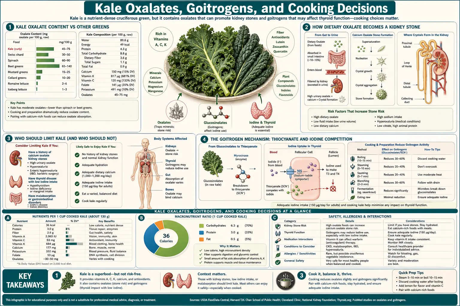 Oxalates and Cooking — scientific infographic poster