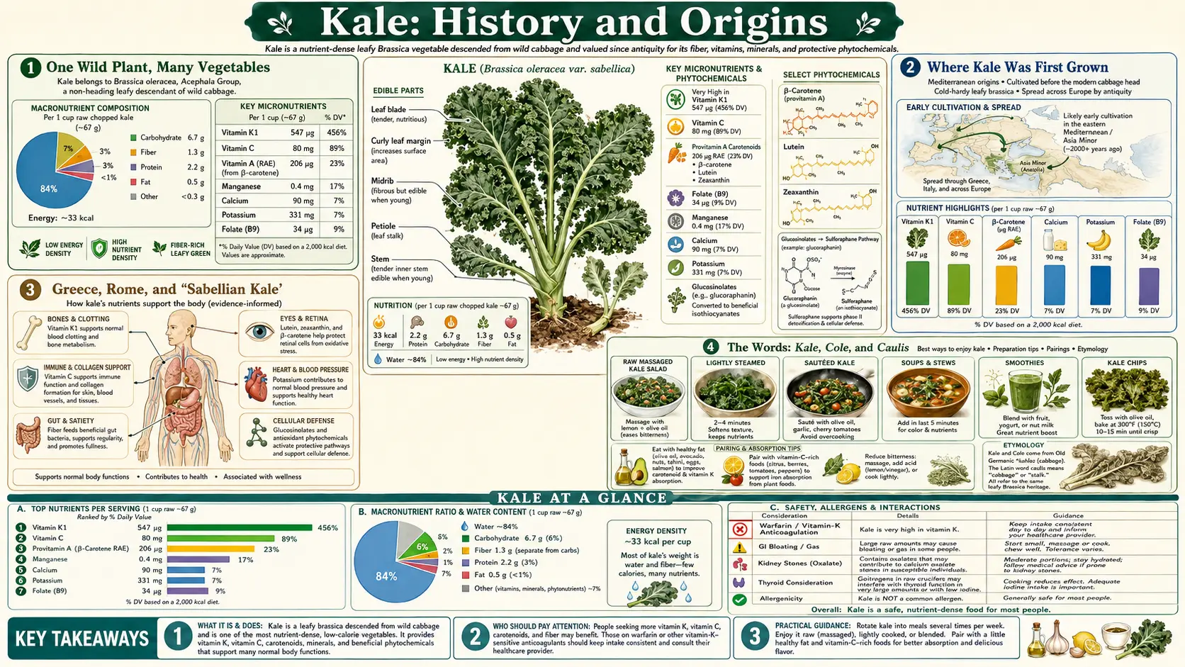 History — scientific infographic poster