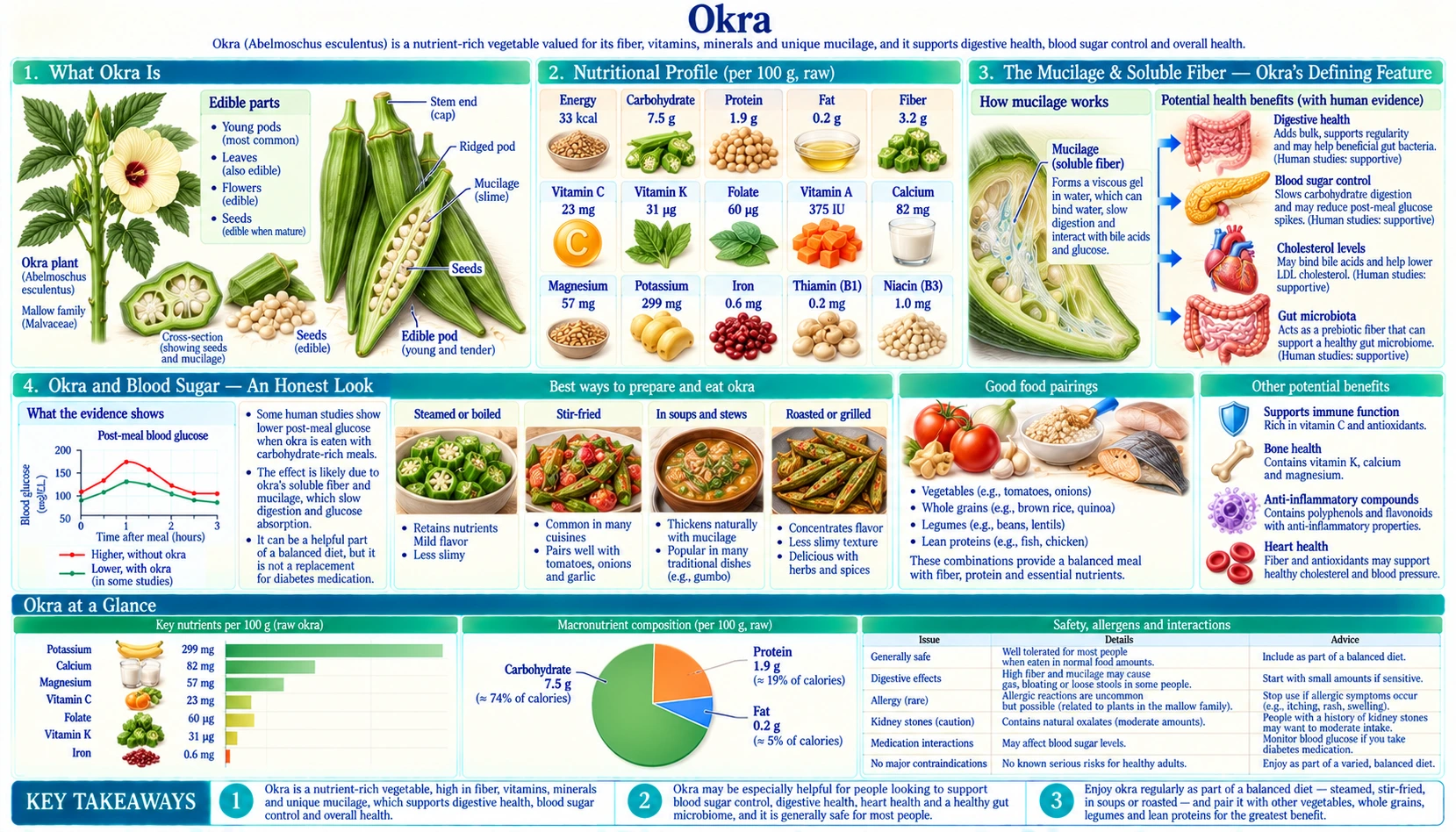 Okra — scientific infographic poster