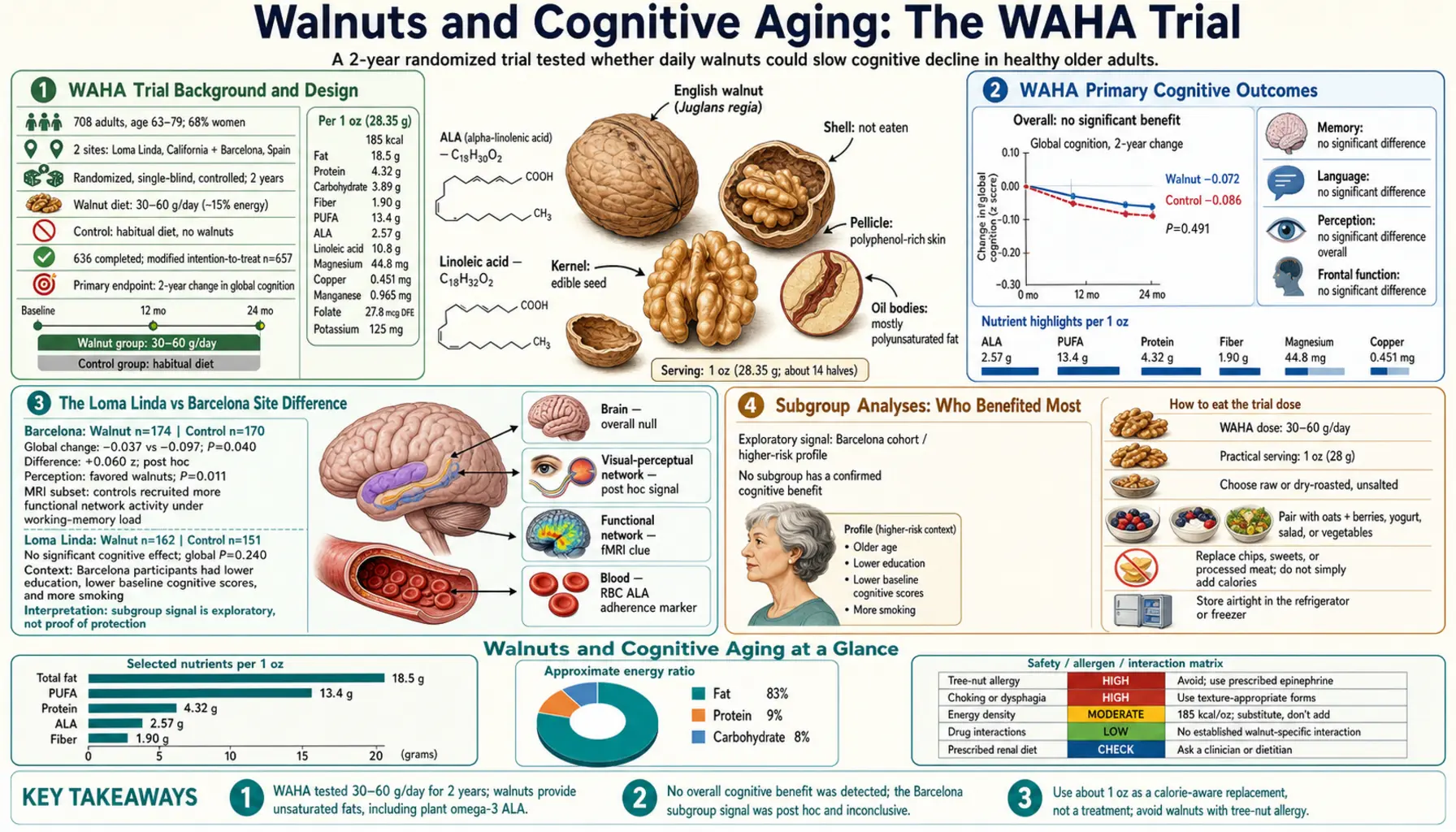 Cognitive Aging — scientific infographic poster
