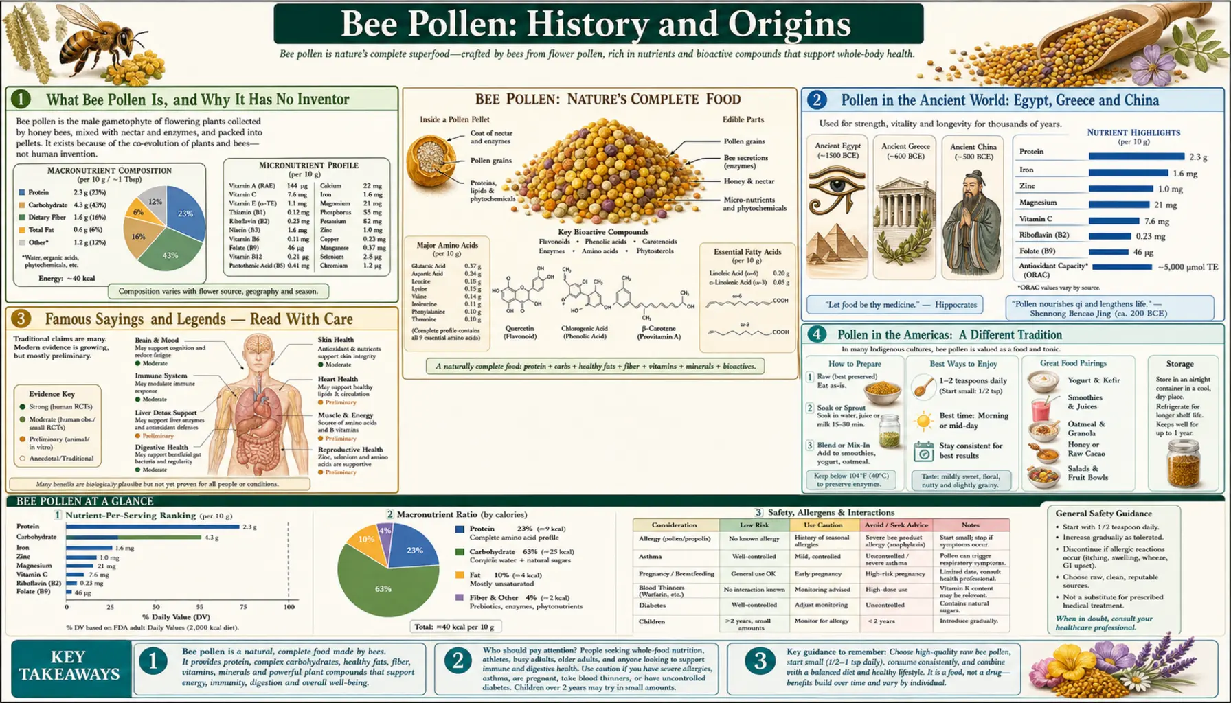 History — scientific infographic poster