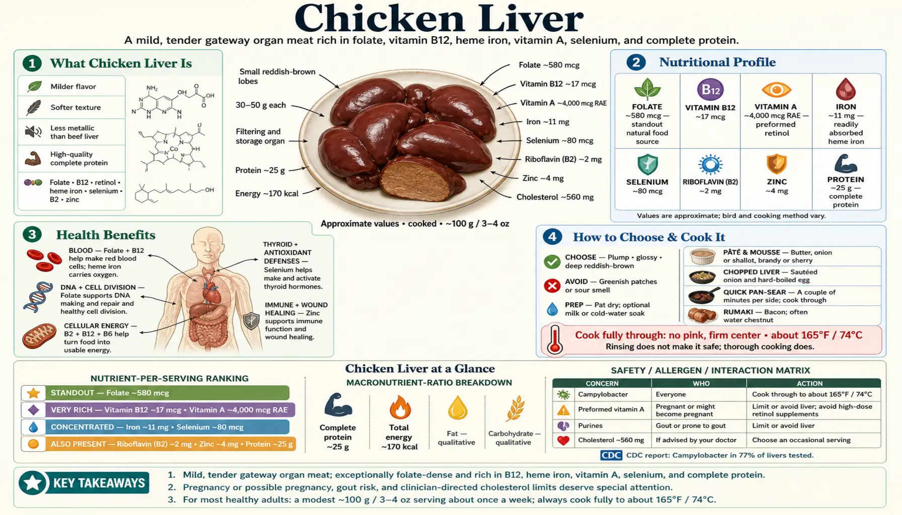 Chicken Liver — scientific infographic poster