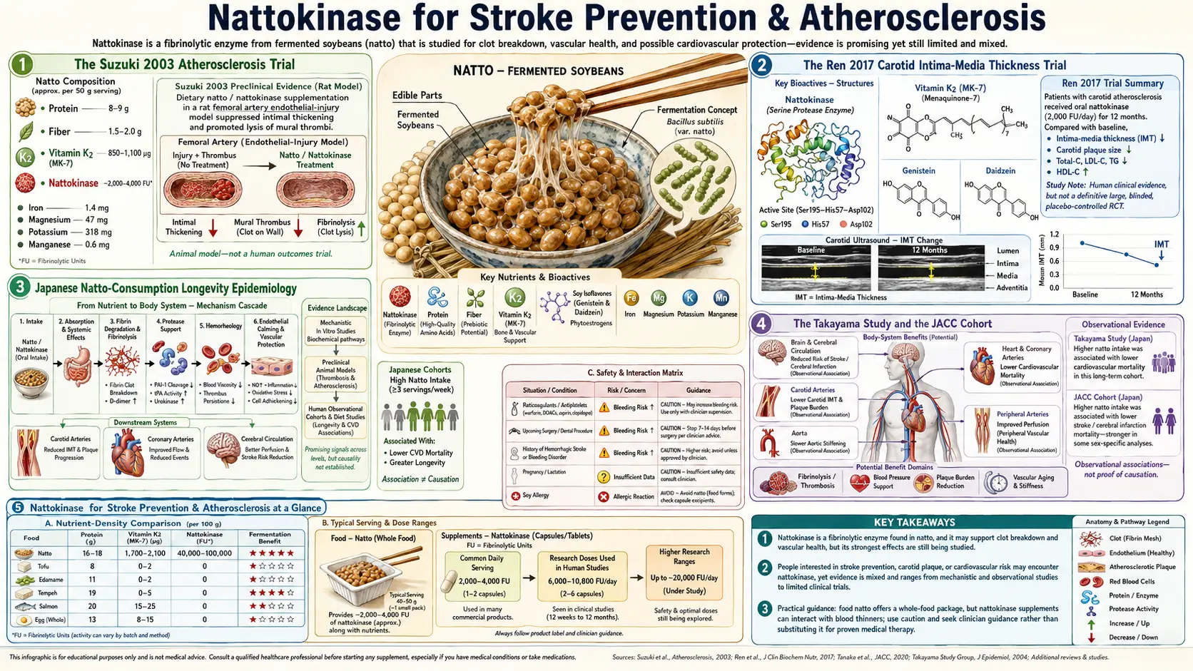 Stroke Prevention — scientific infographic poster