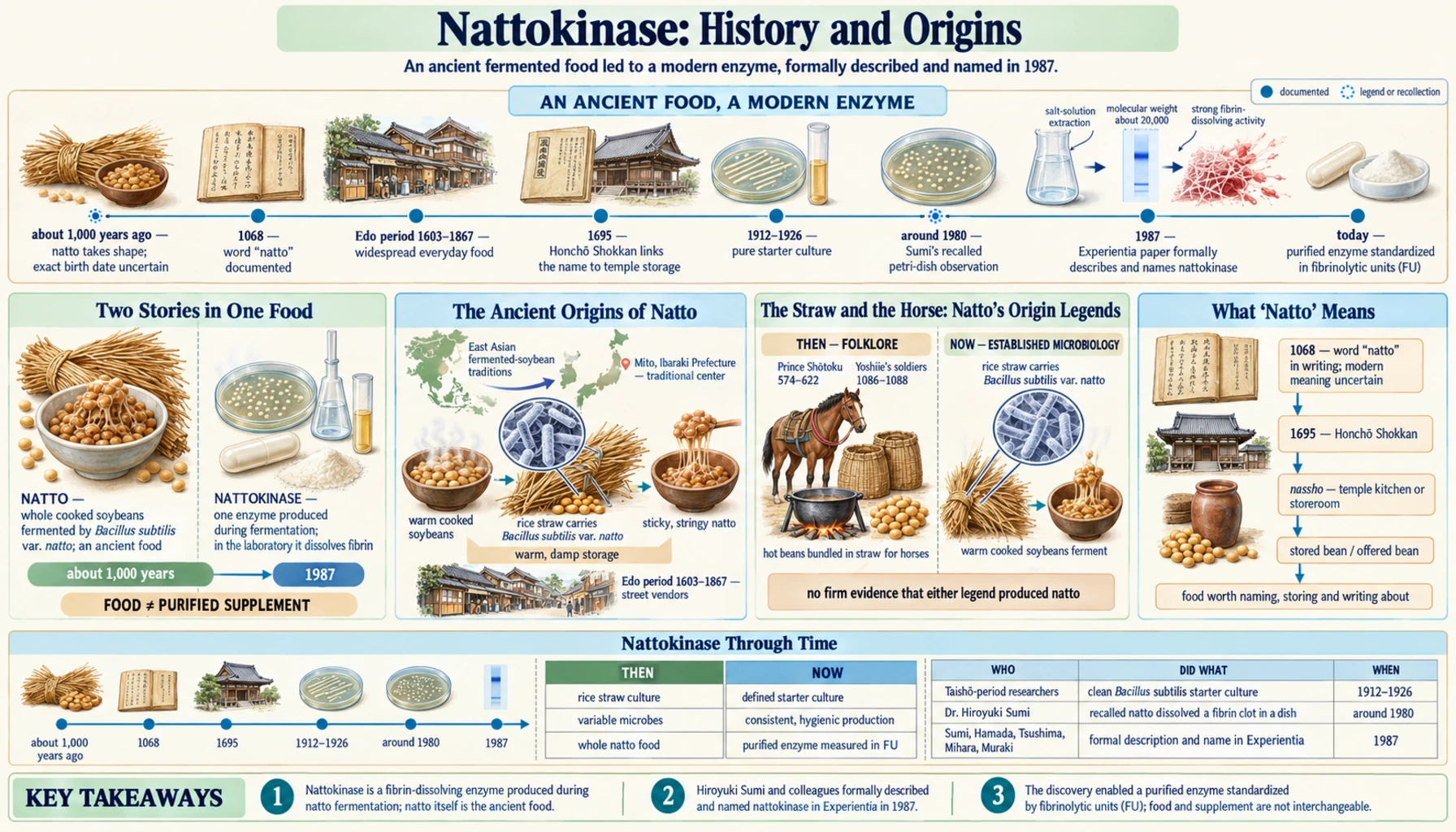 History — scientific infographic poster
