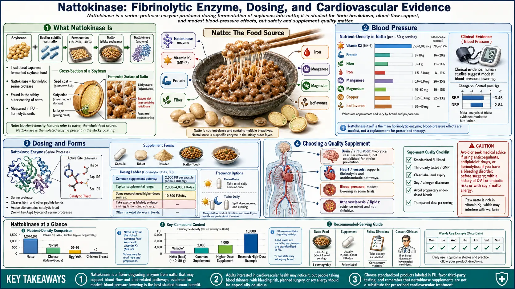 Nattokinase — scientific infographic poster
