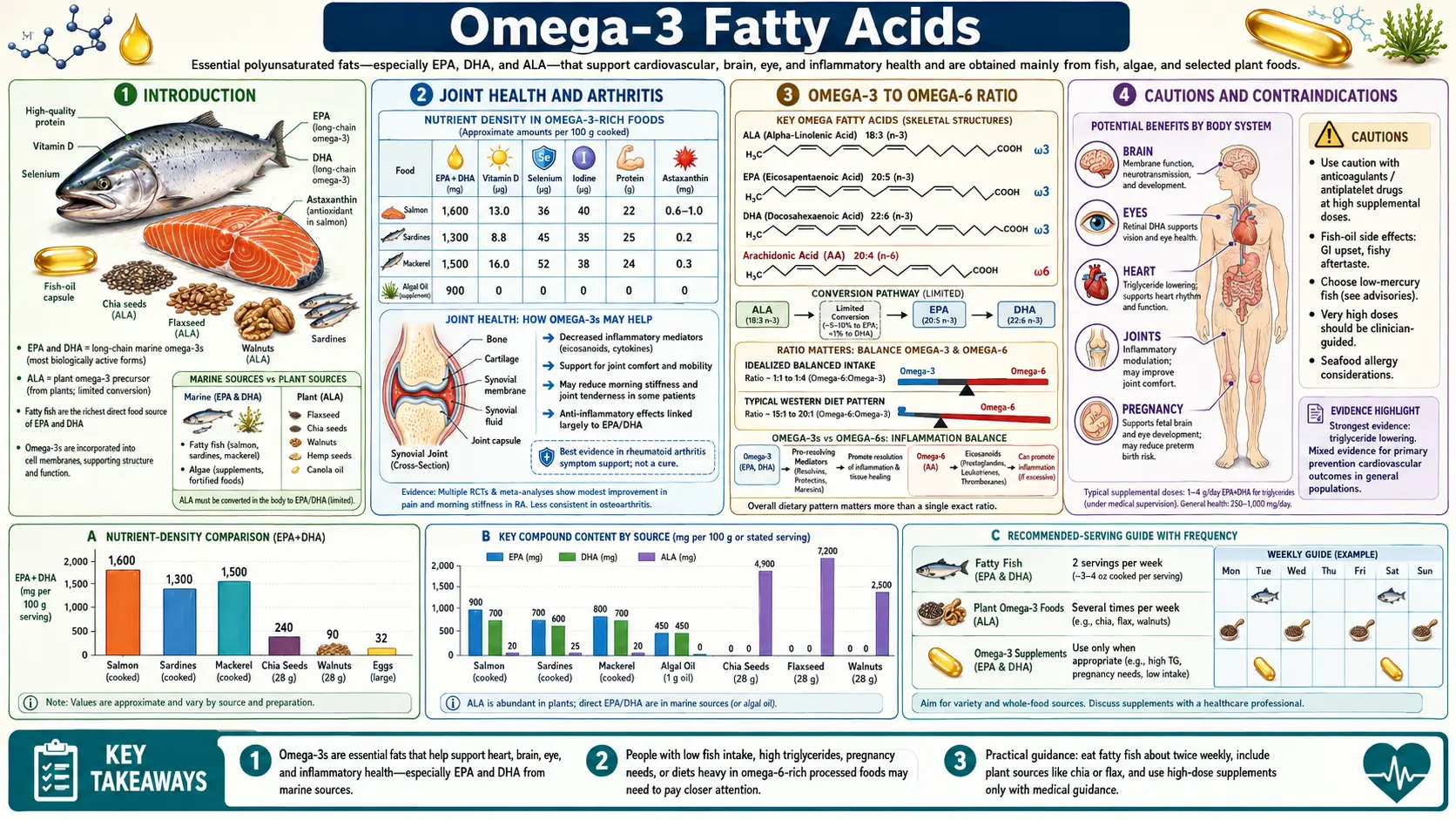 Omega 3 Fatty Acids — scientific infographic poster