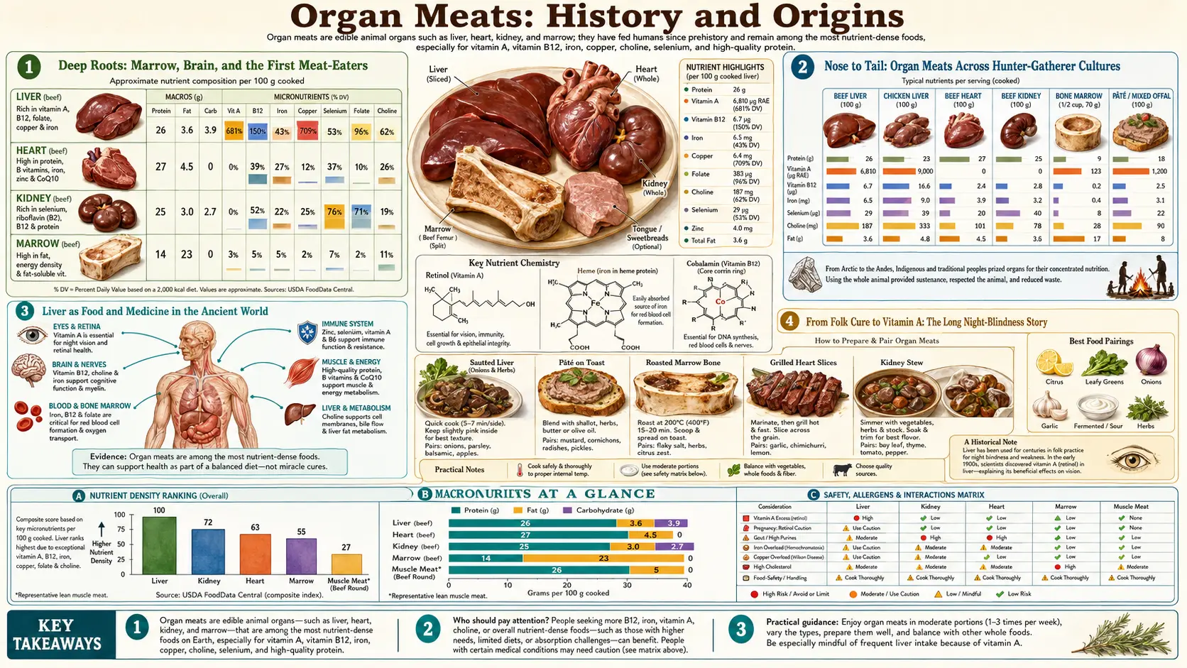 History — scientific infographic poster