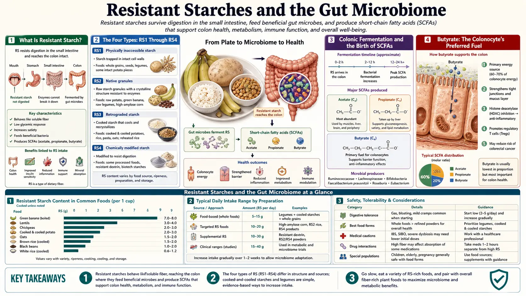 Gut Microbiome — scientific infographic poster
