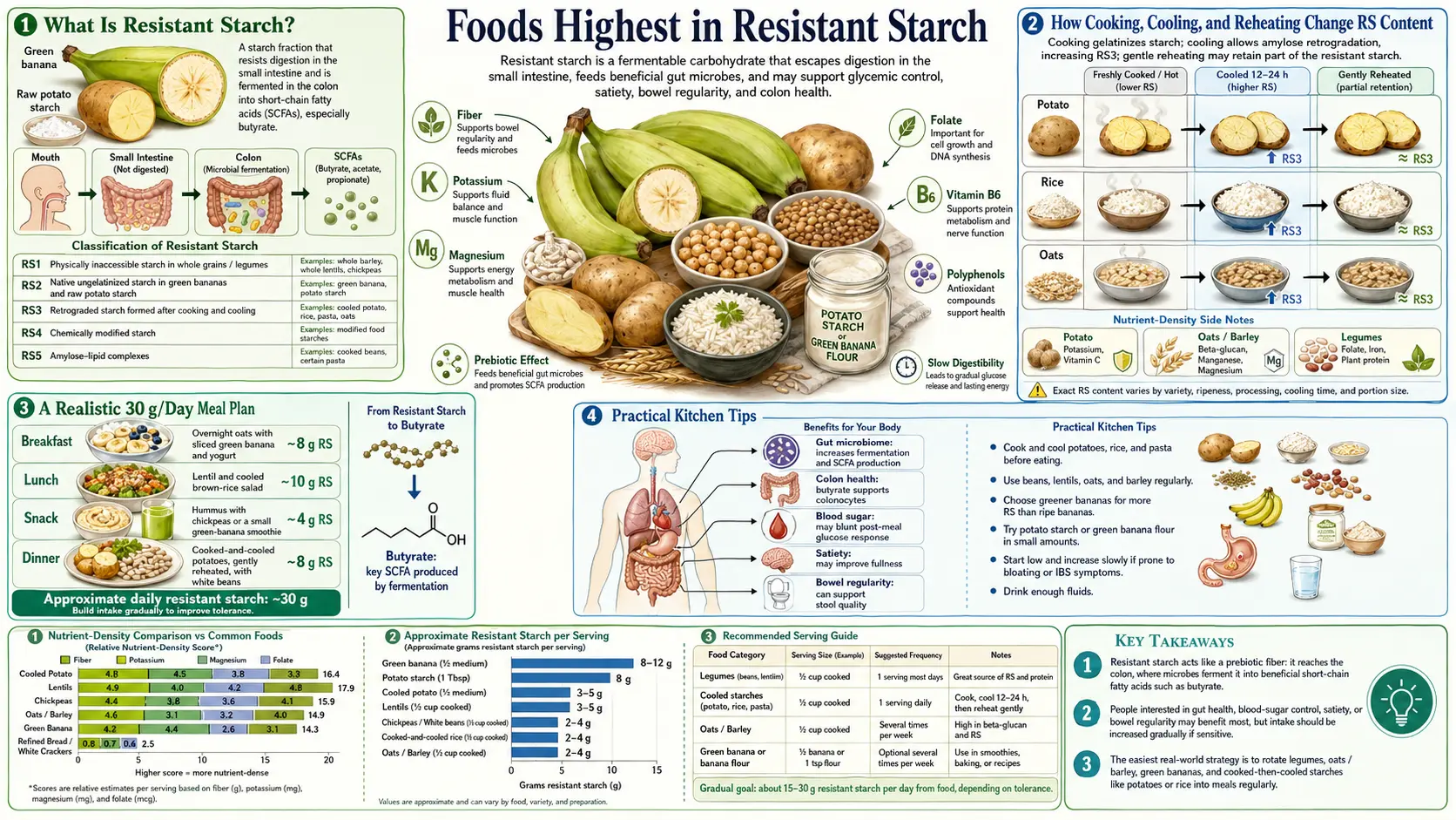 High Resistant Starch Foods — scientific infographic poster