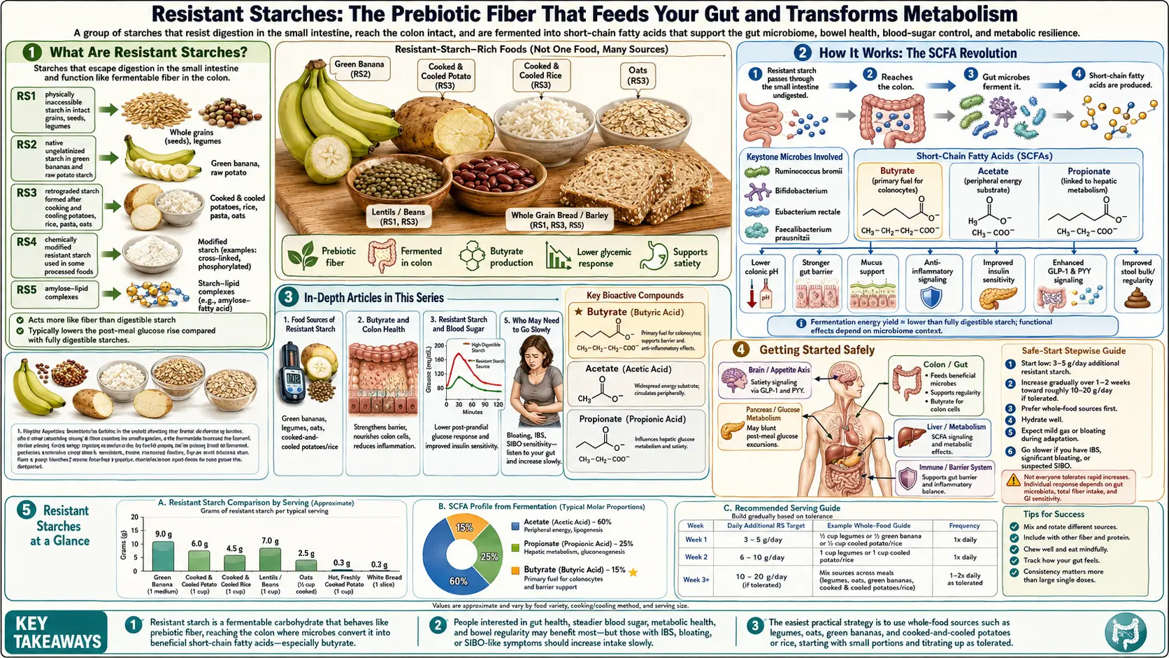 Resistant Starches — scientific infographic poster