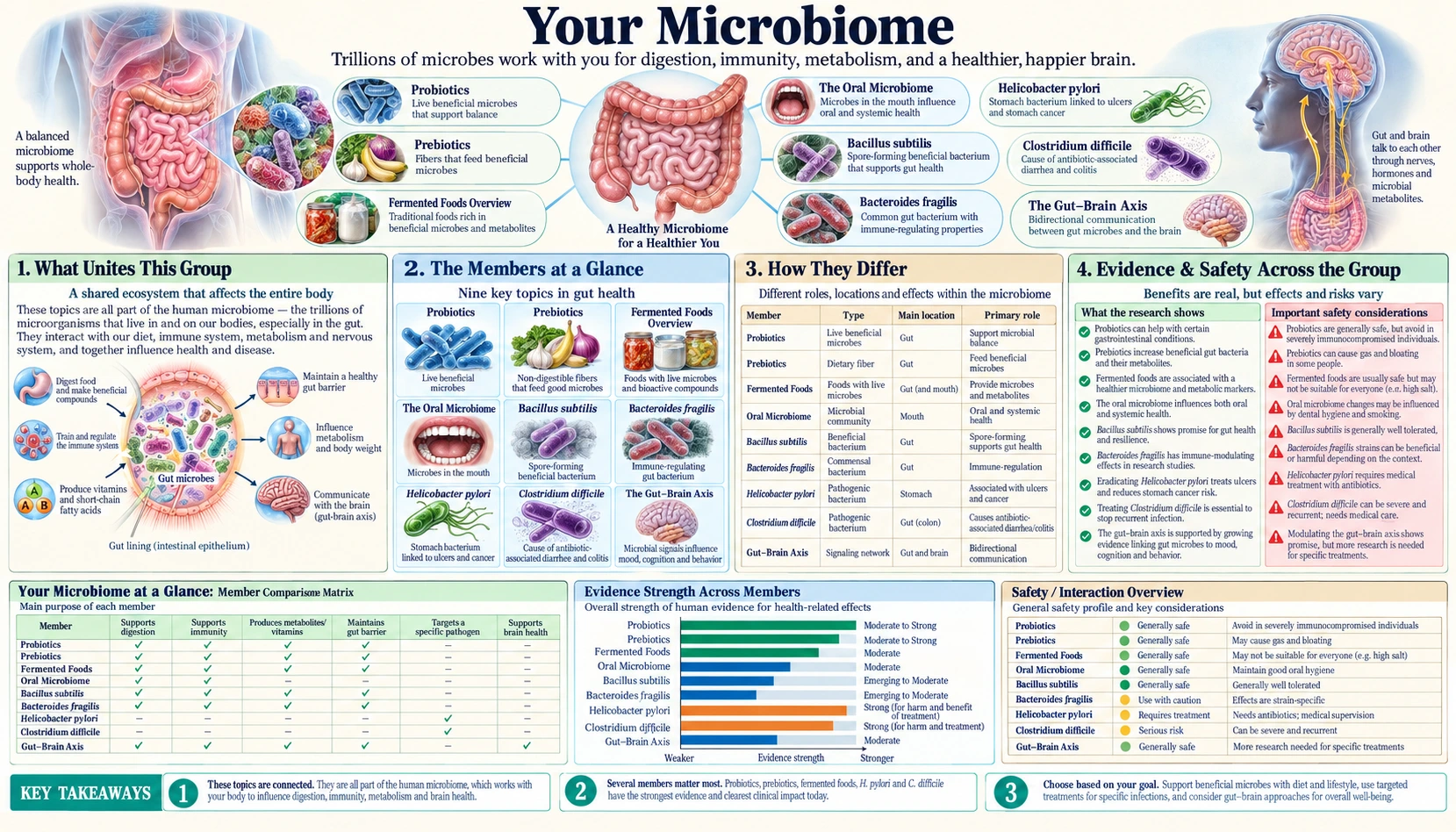 Microbiome — scientific infographic poster