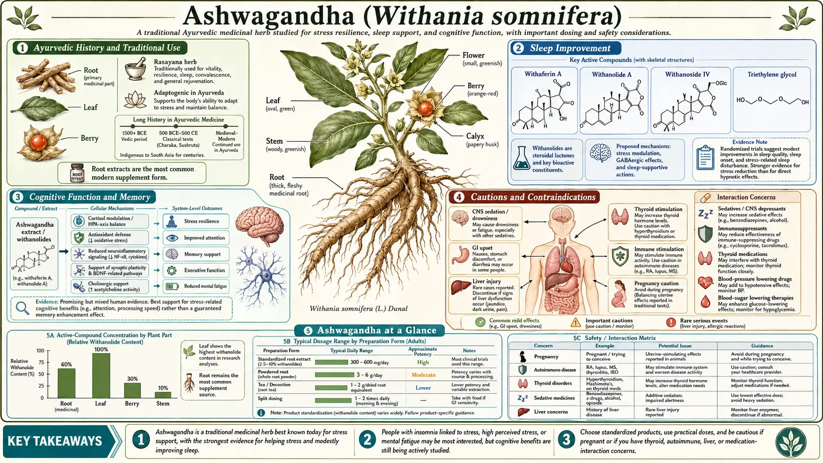 Ashwagandha — scientific infographic poster