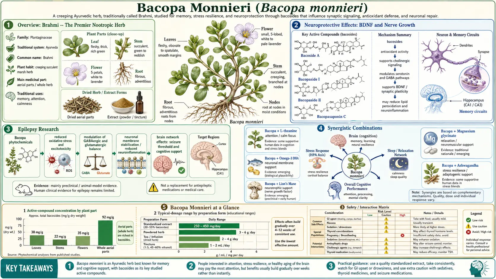 Bacopa Monnieri — scientific infographic poster