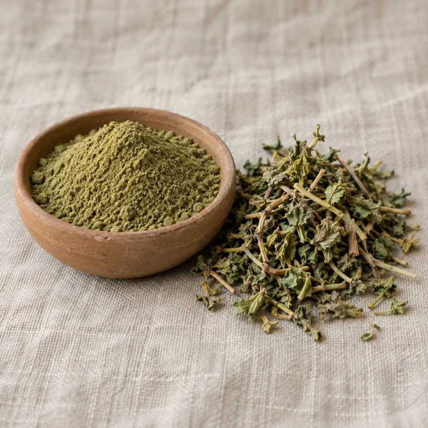 Dried bacopa herb and powder
