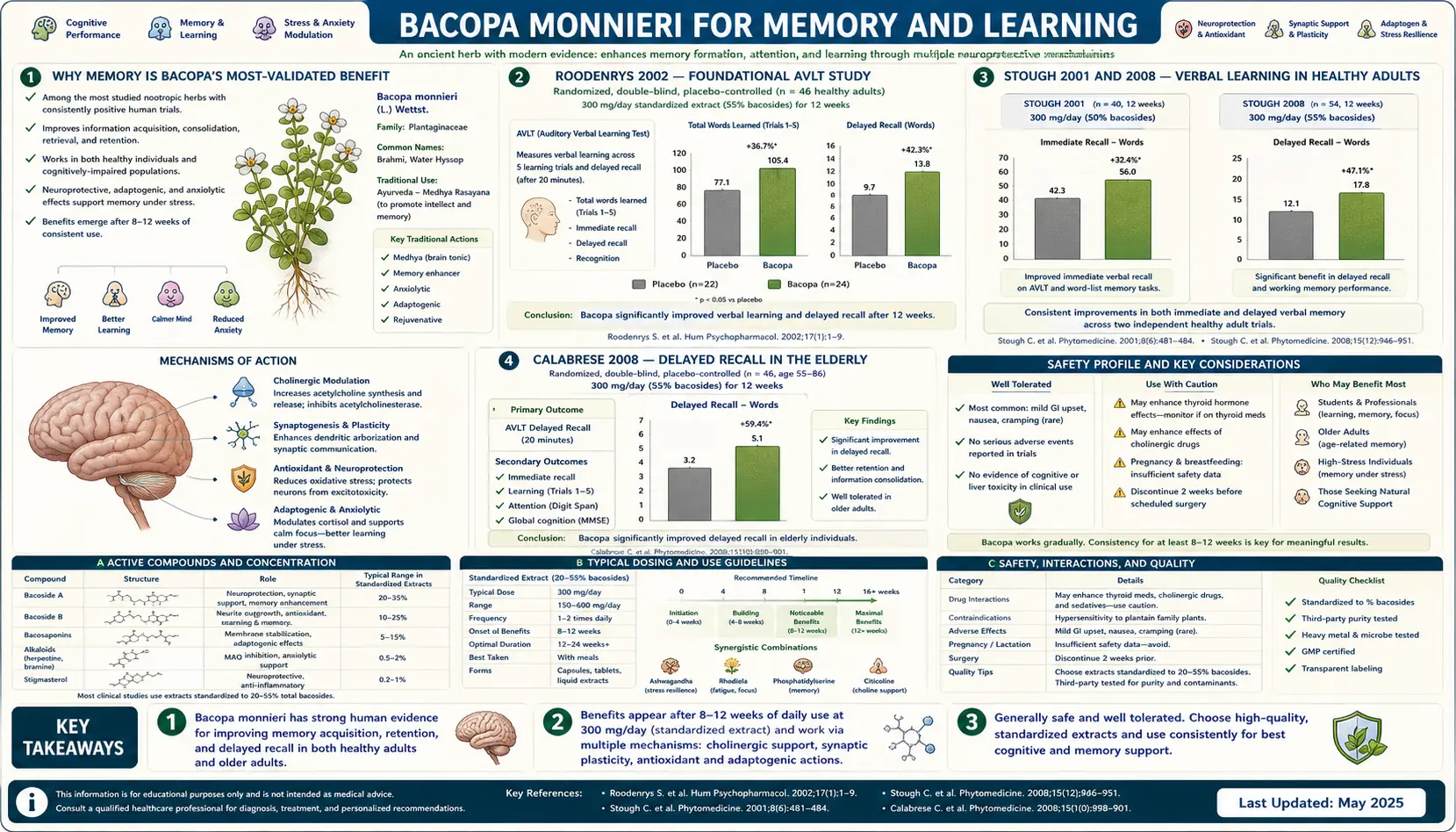 Memory and Learning — scientific infographic poster