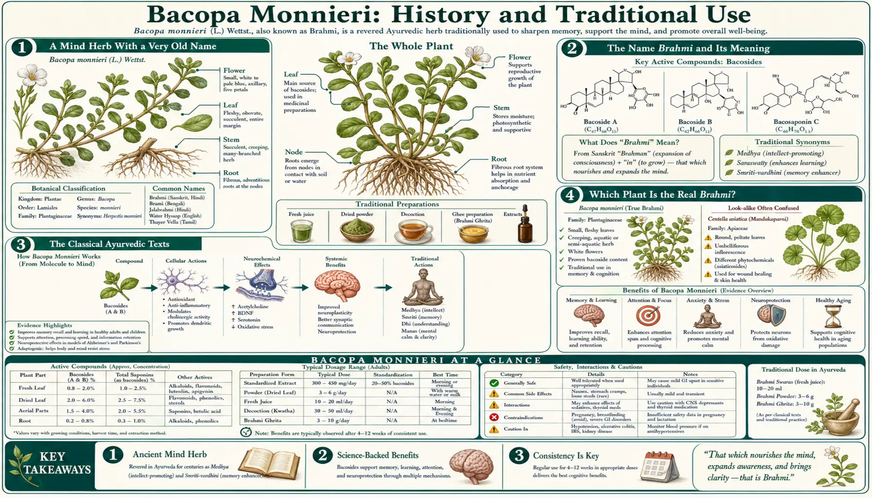 History — scientific infographic poster