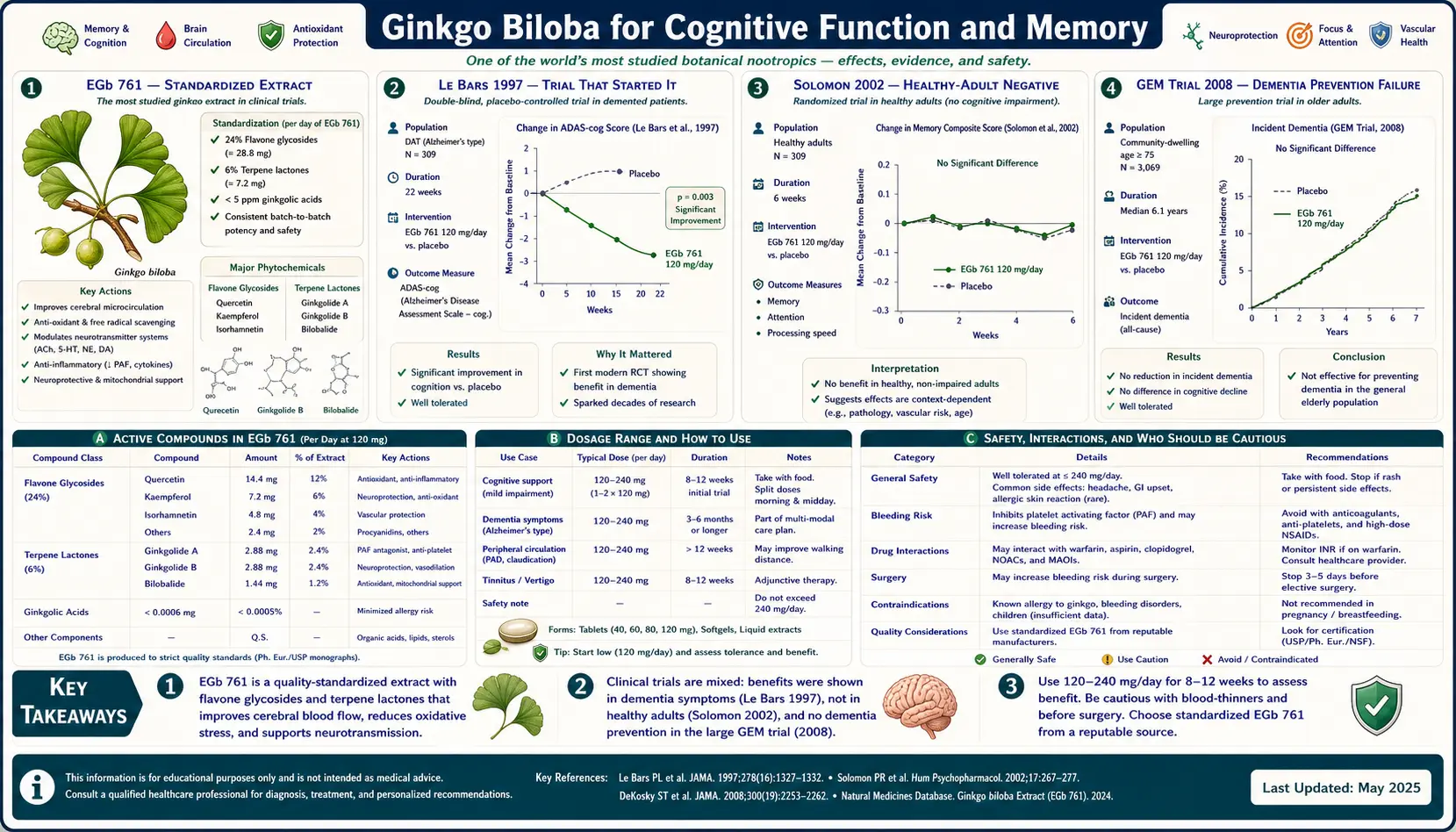 Cognitive Function and Memory — scientific infographic poster