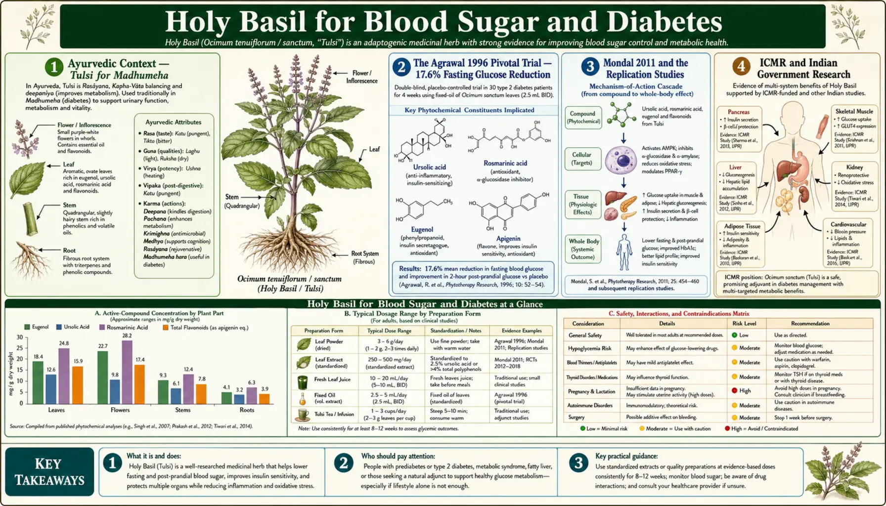 Blood Sugar and Diabetes — scientific infographic poster