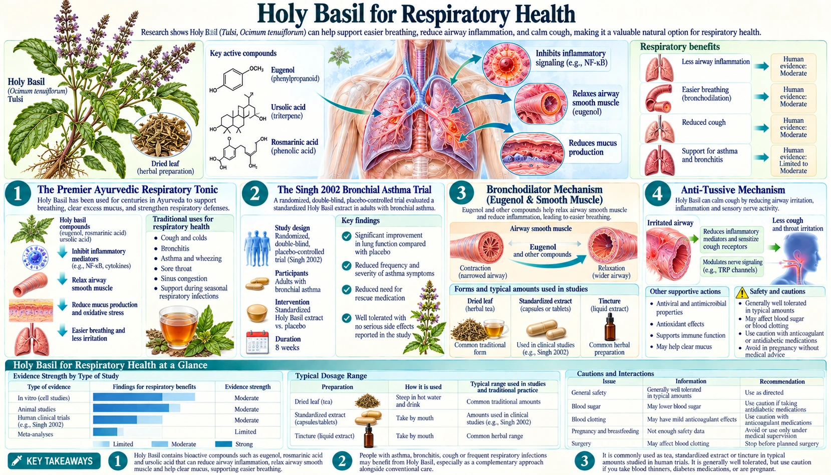 Respiratory Health — scientific infographic poster