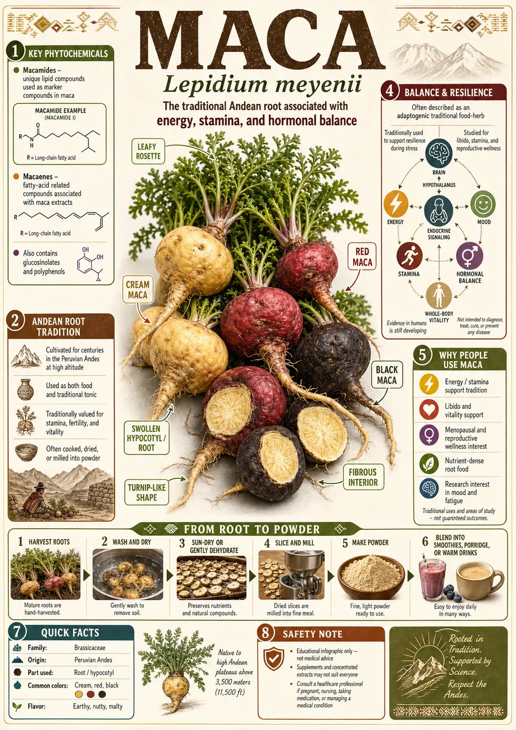Maca (Lepidium meyenii)