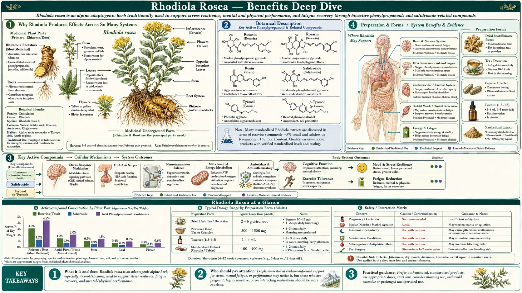Benefits — scientific infographic poster