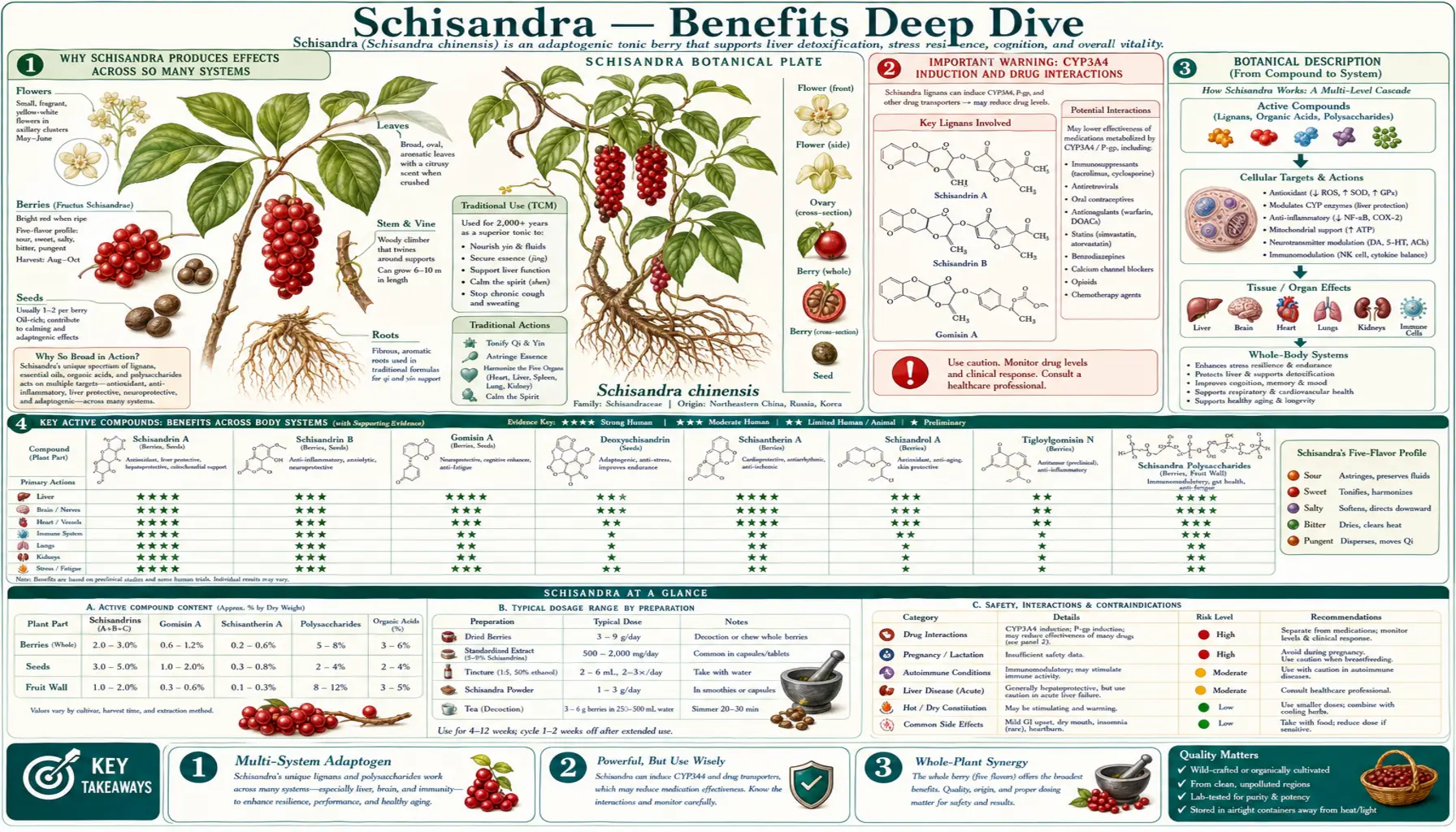 Benefits — scientific infographic poster