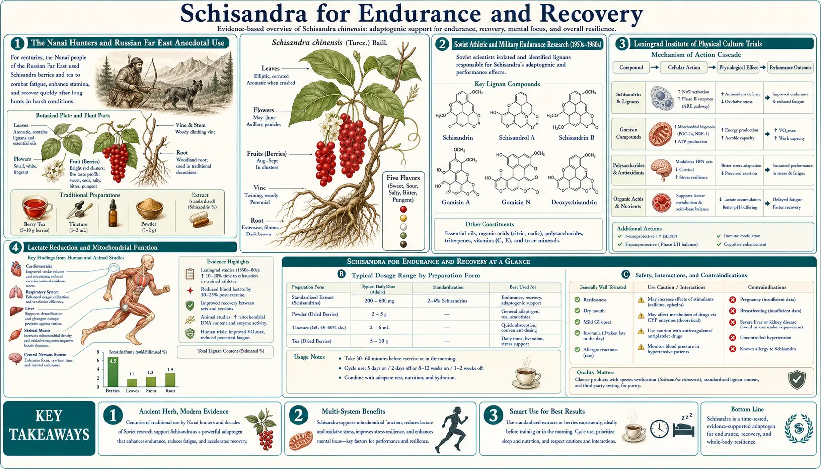 Endurance and Recovery — scientific infographic poster