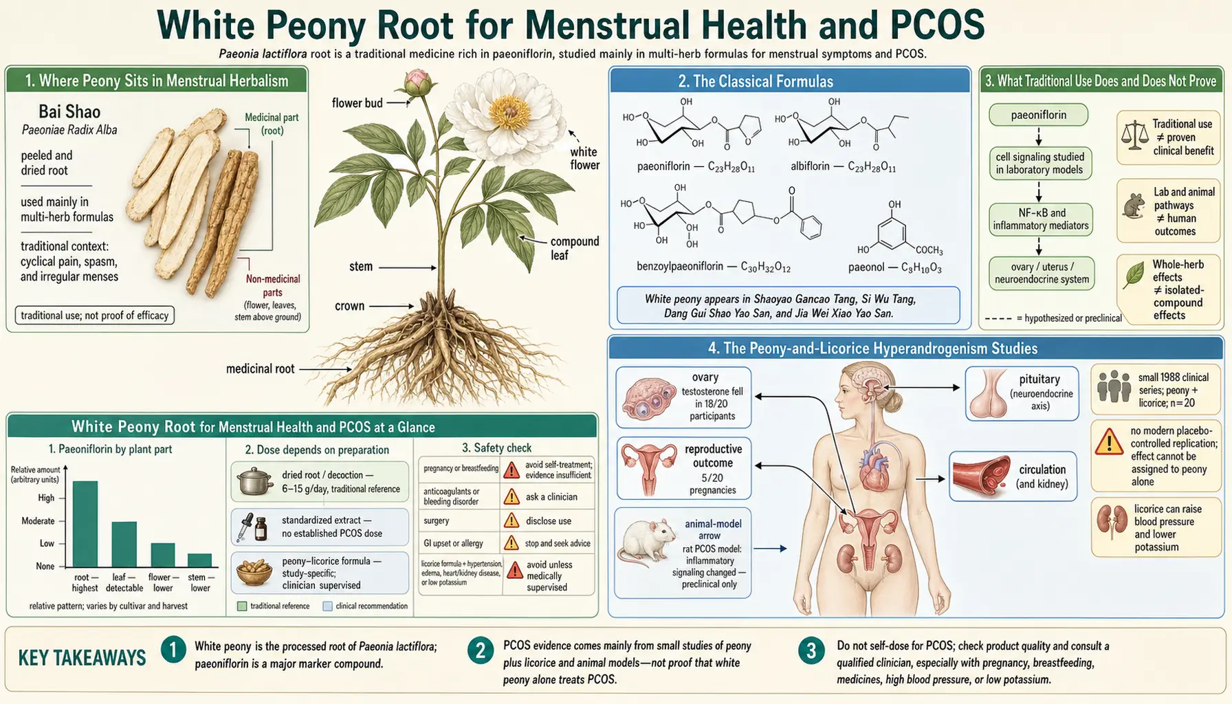 Menstrual Health and polycystic ovary syndrome — scientific infographic poster