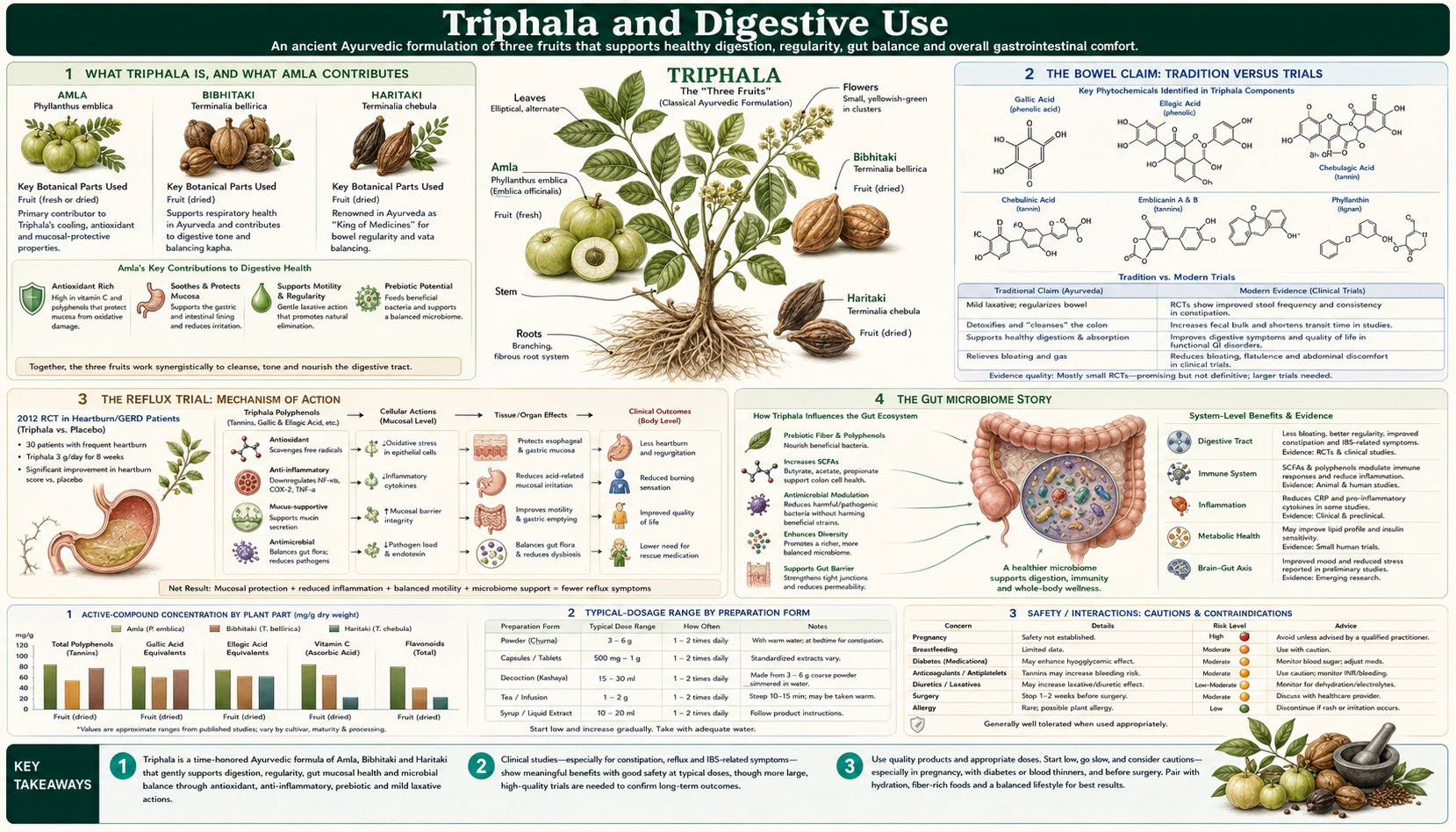 Triphala and Digestive Use — scientific infographic poster
