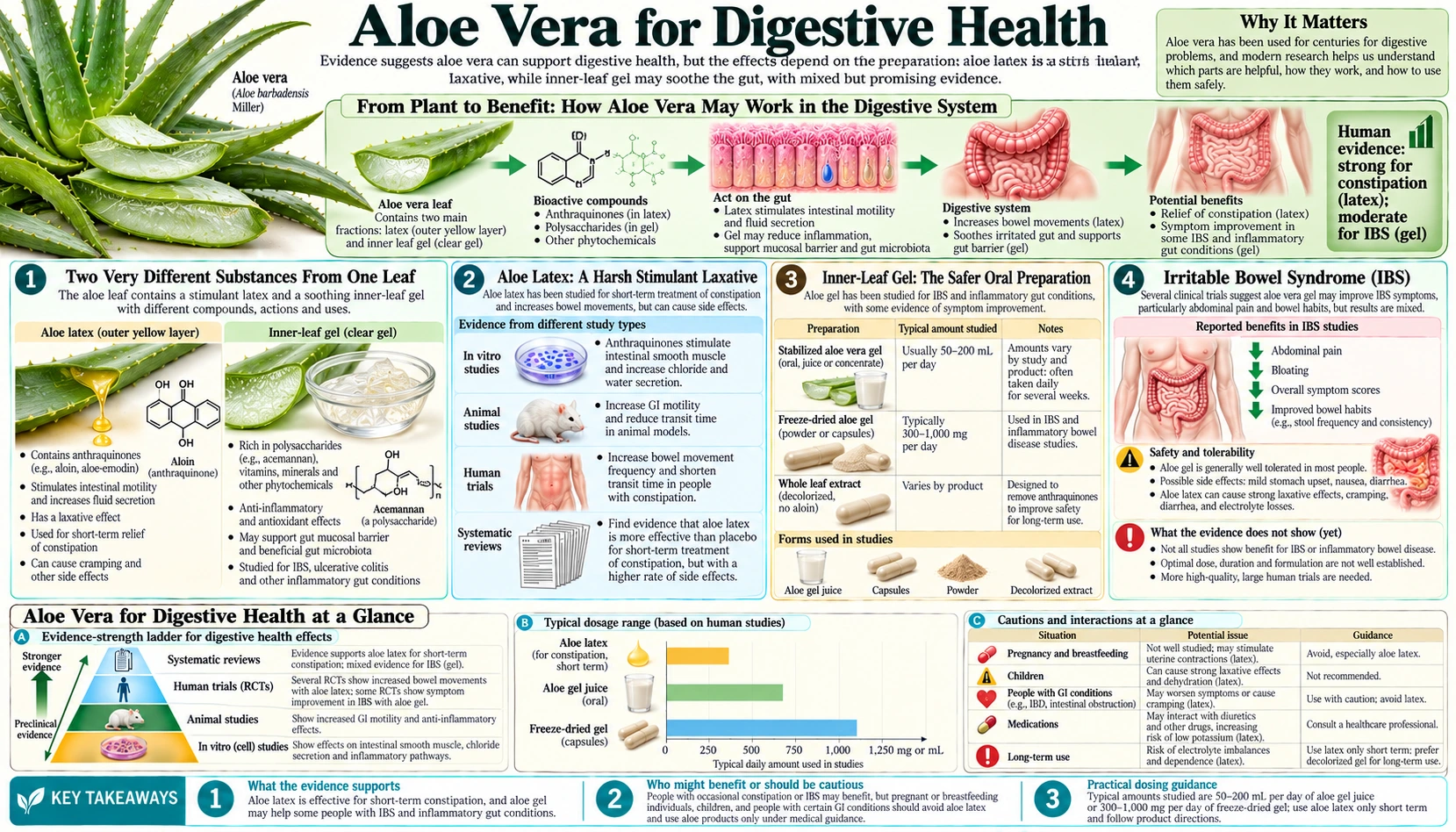 Digestive Health — scientific infographic poster
