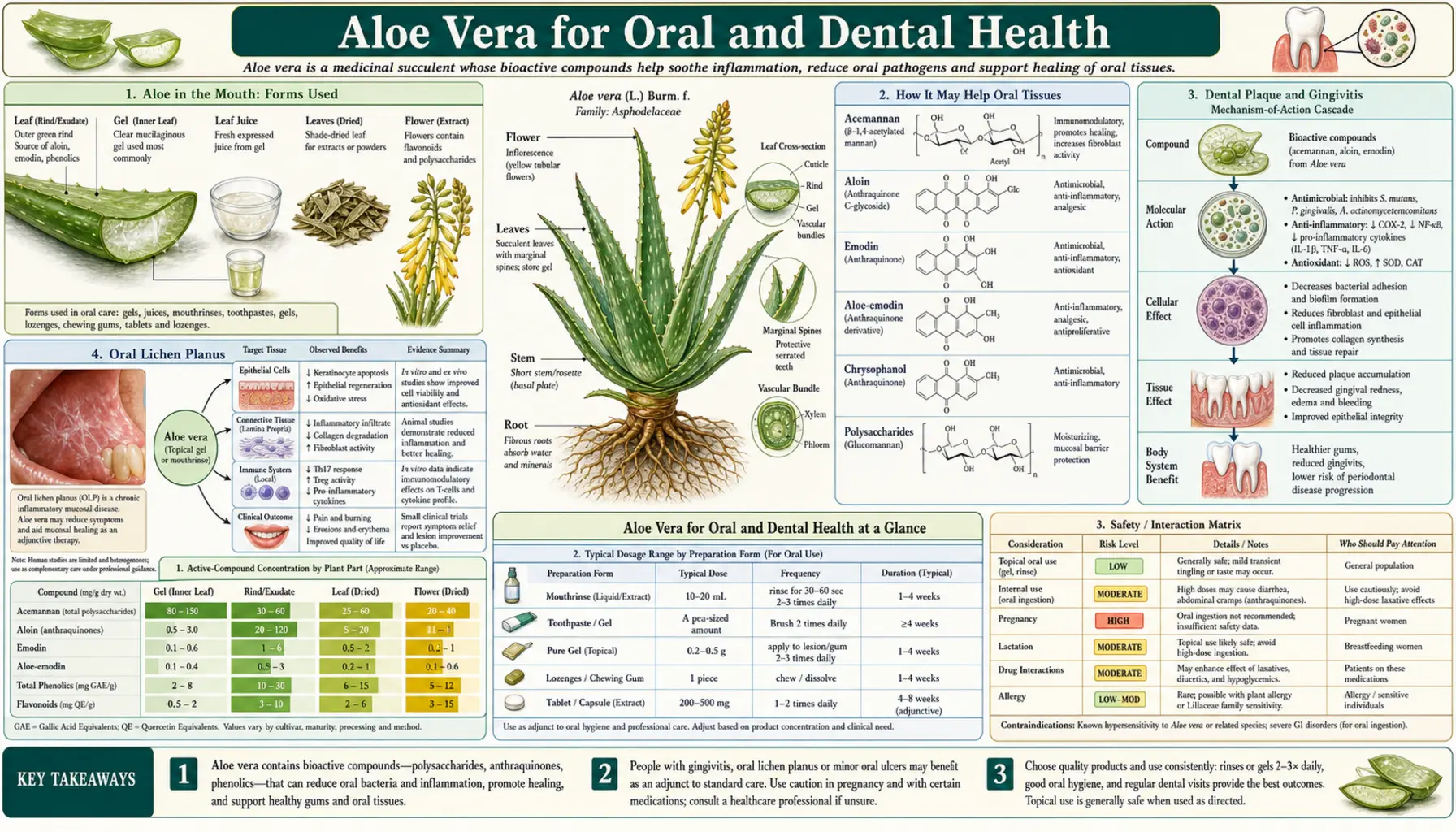 Oral and Dental — scientific infographic poster