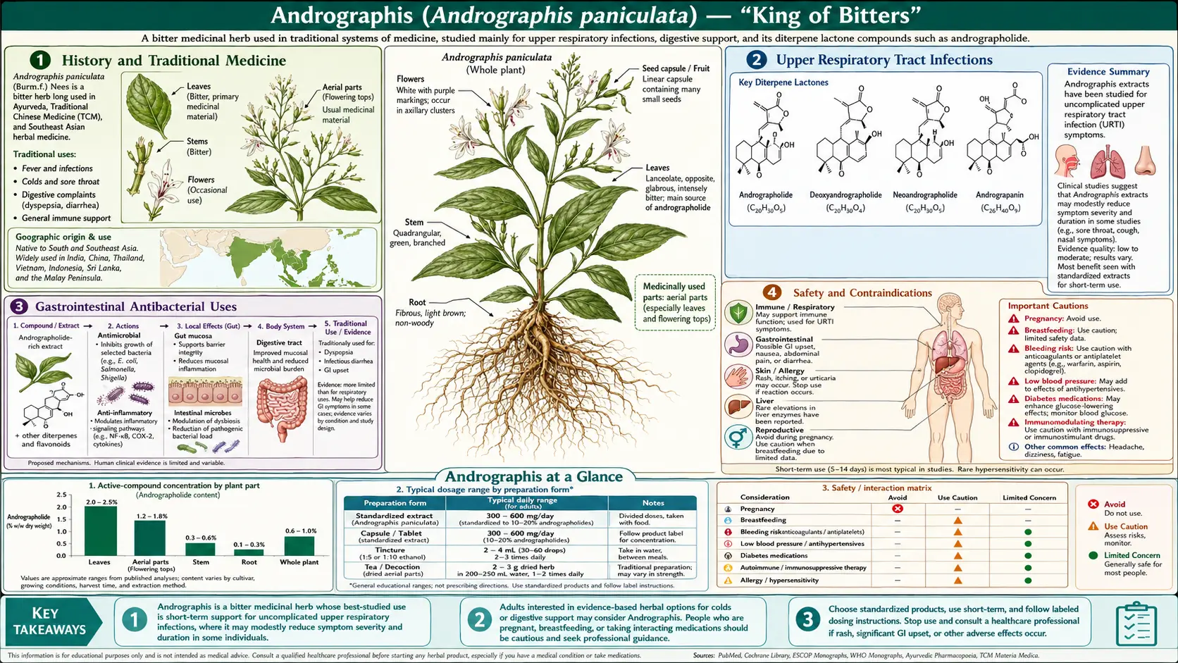 Andrographis — scientific infographic poster