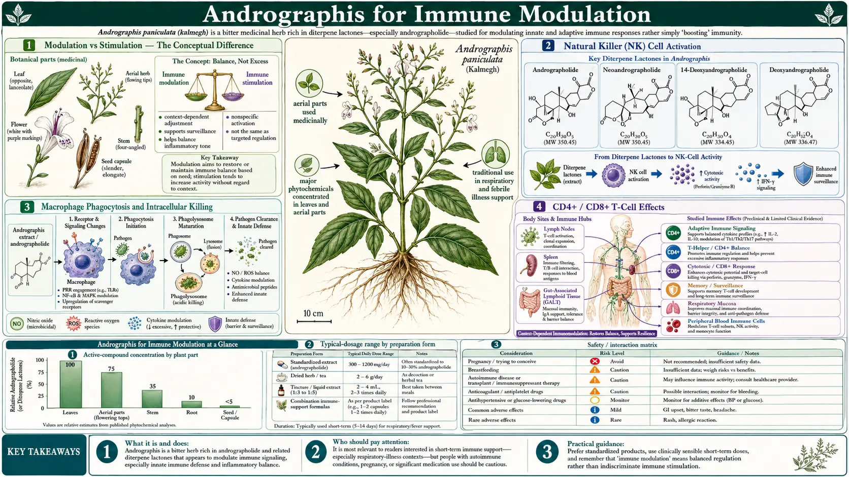 Immune Modulation — scientific infographic poster