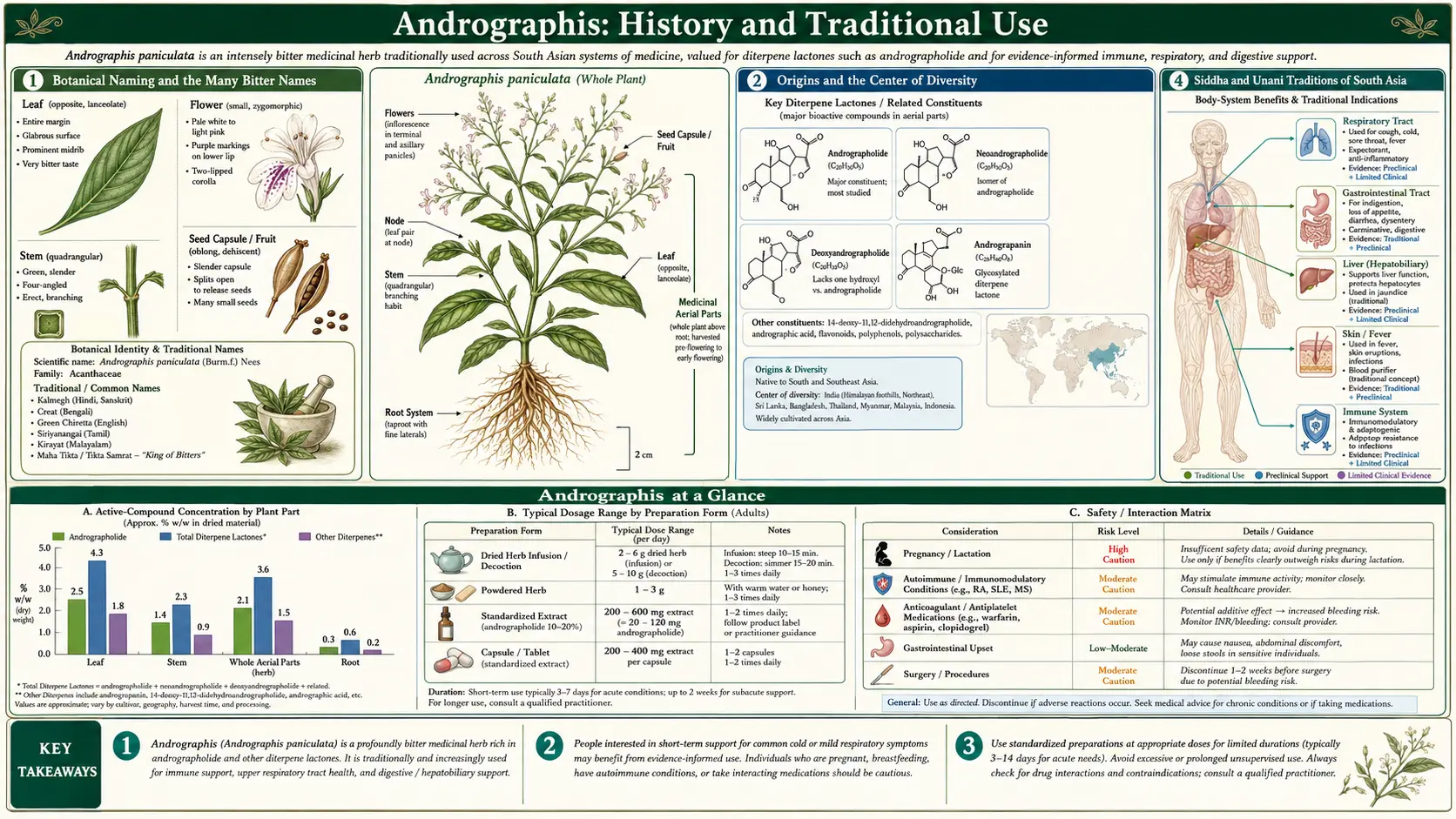 History — scientific infographic poster