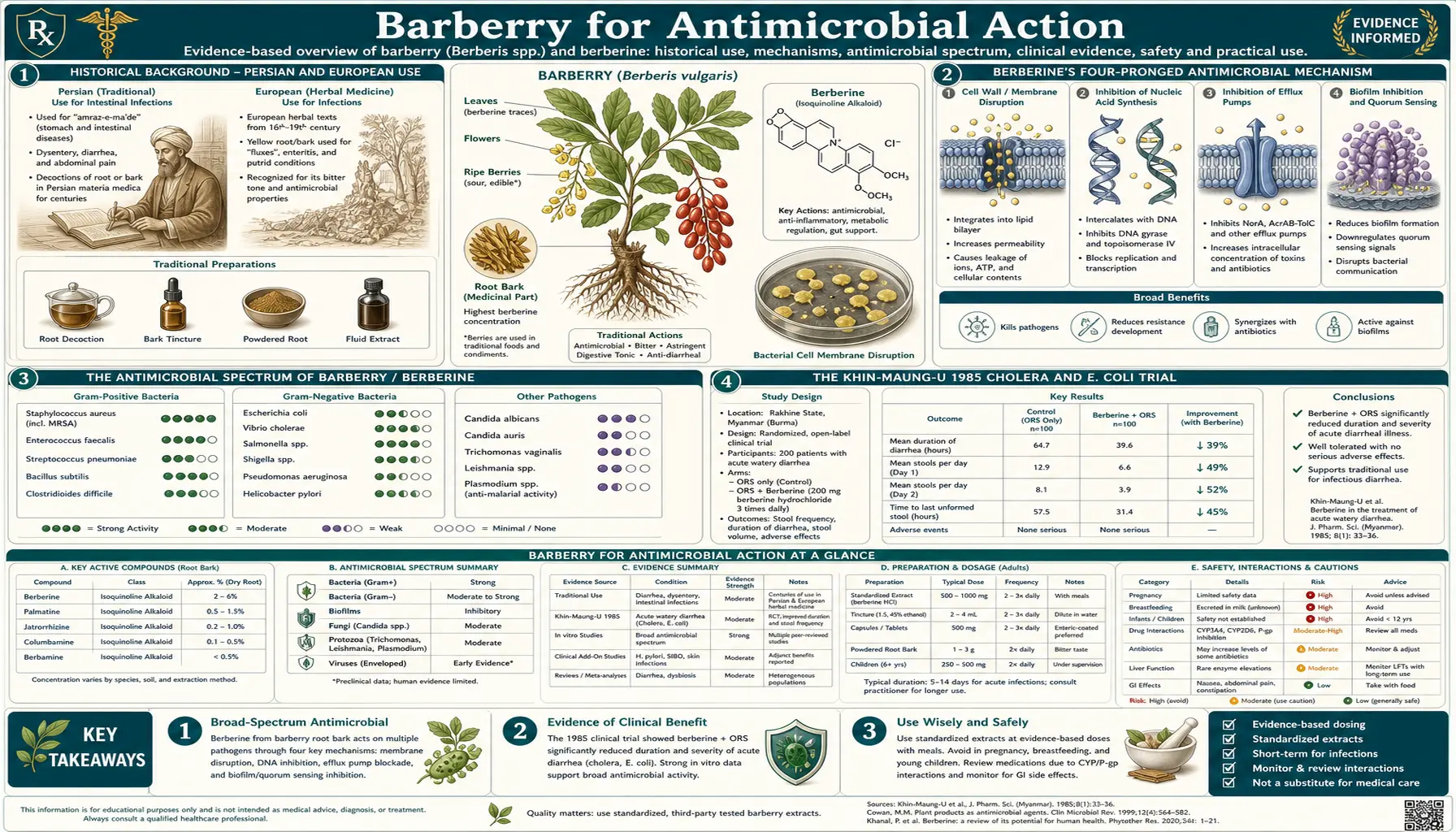 Antimicrobial — scientific infographic poster