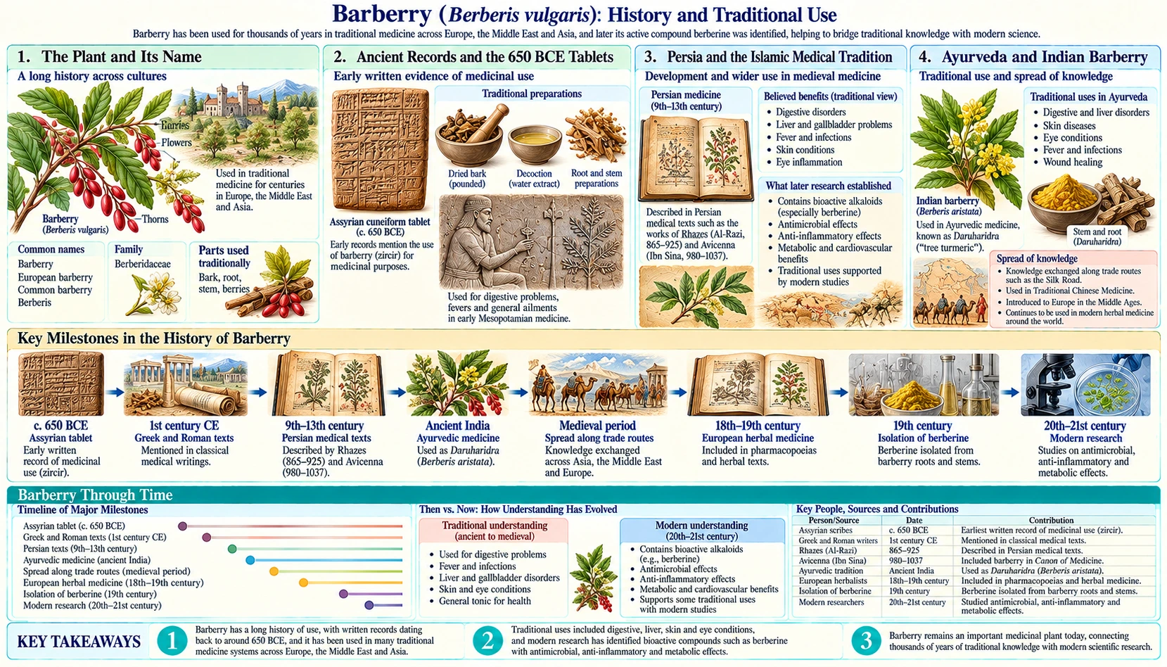 History — scientific infographic poster