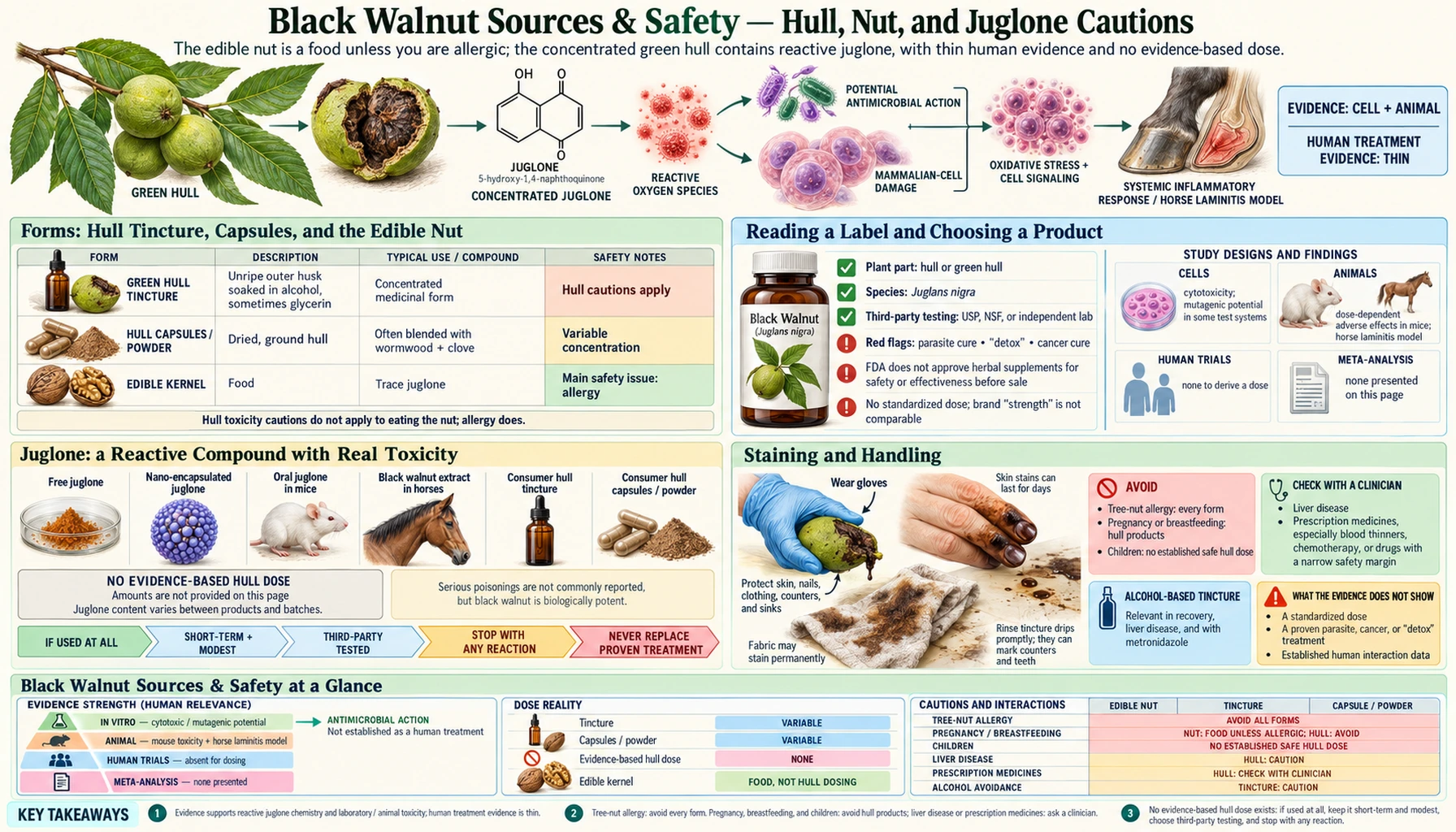 Sources and Safety — scientific infographic poster