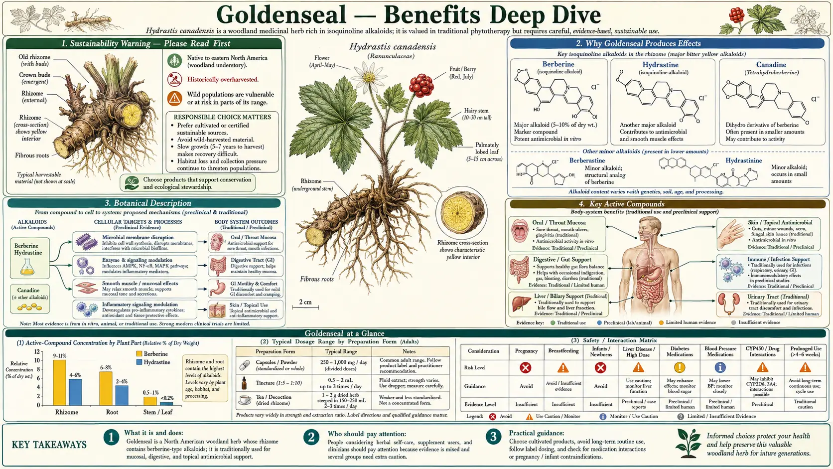 Benefits — scientific infographic poster