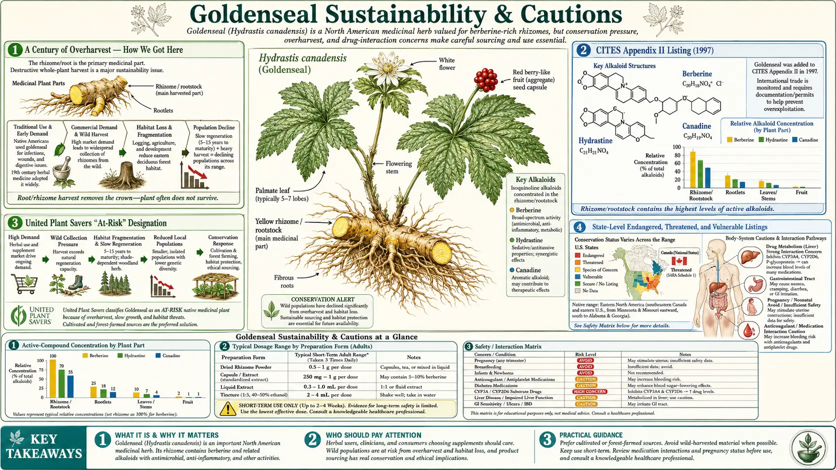 Sustainability and Cautions — scientific infographic poster