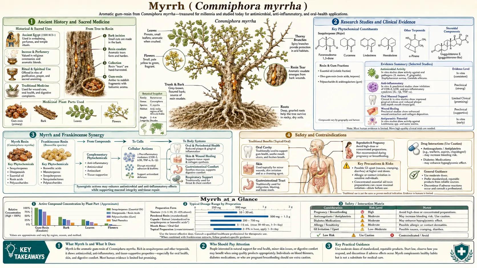 Myrrh — scientific infographic poster
